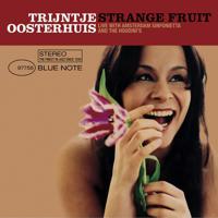 Постер альбома Strange Fruit - Zingt Gershwin & Billie Holiday