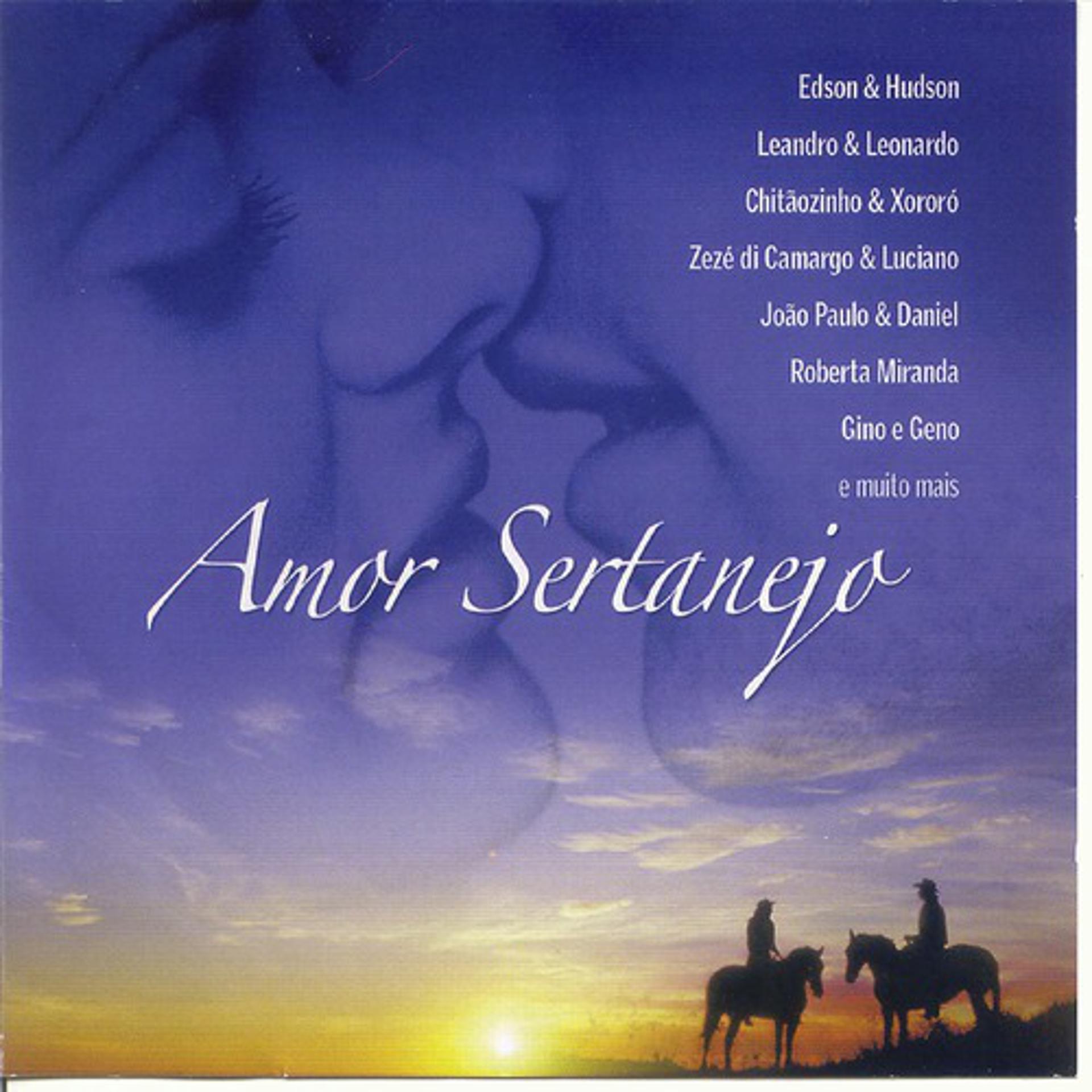 Постер альбома Amor Sertanejo