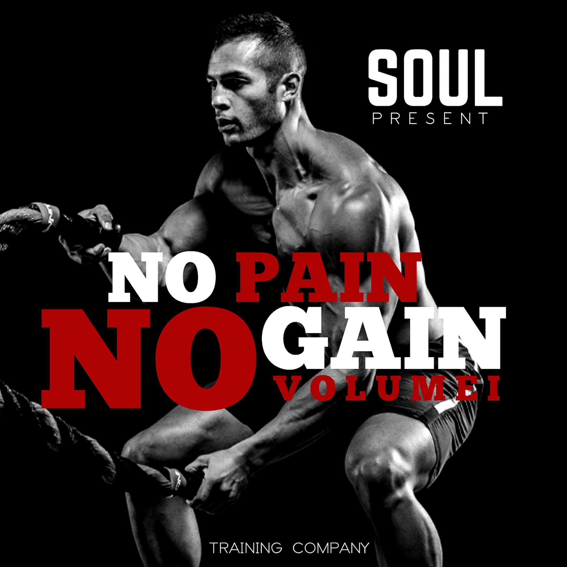 Постер альбома No Pain No Gain, Vol. 1