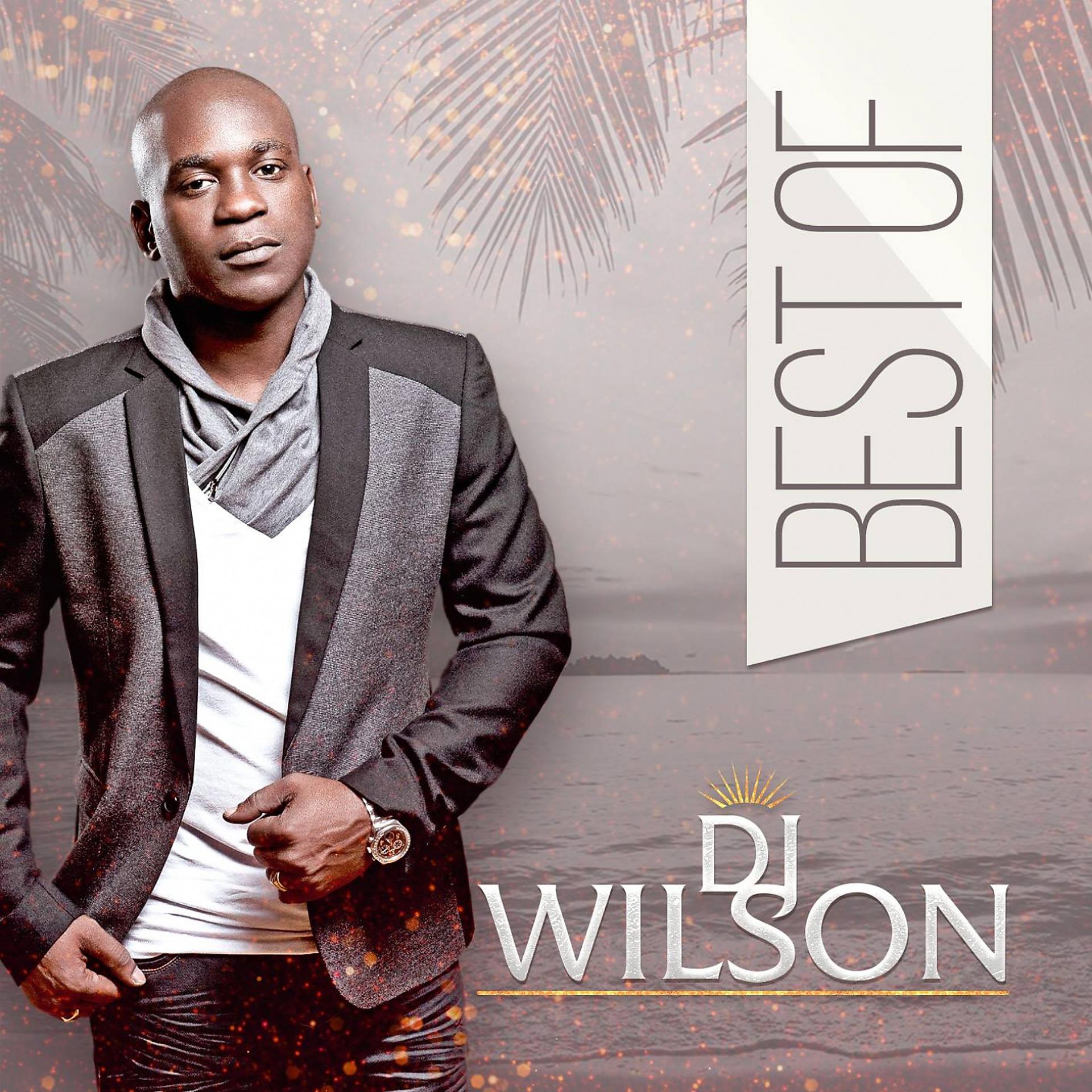Постер альбома Best of DJ wilson