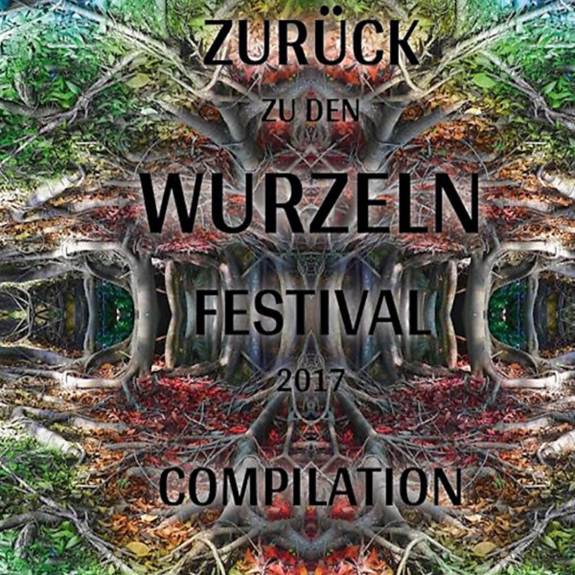 Постер альбома Zurück Zu Den Wurzeln