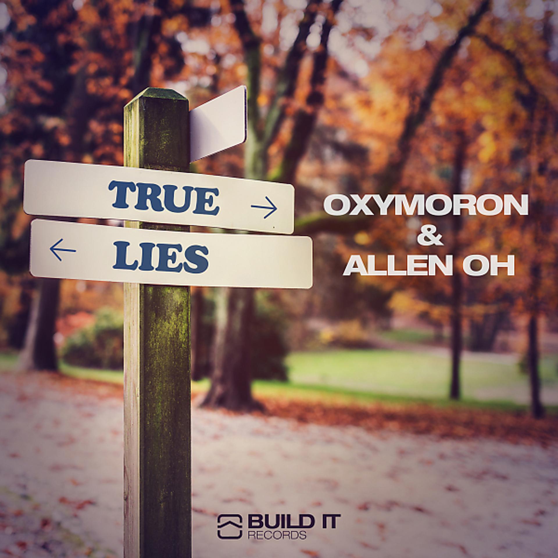 Постер альбома True Lies