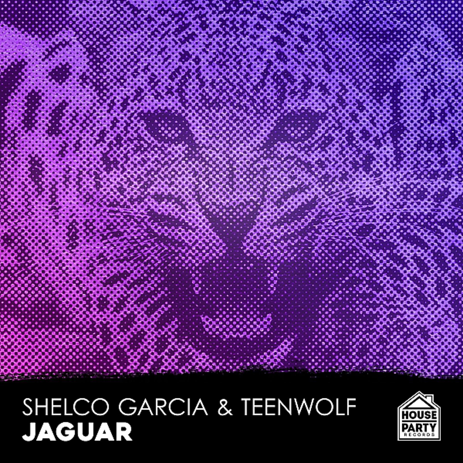 Постер альбома Jaguar EP