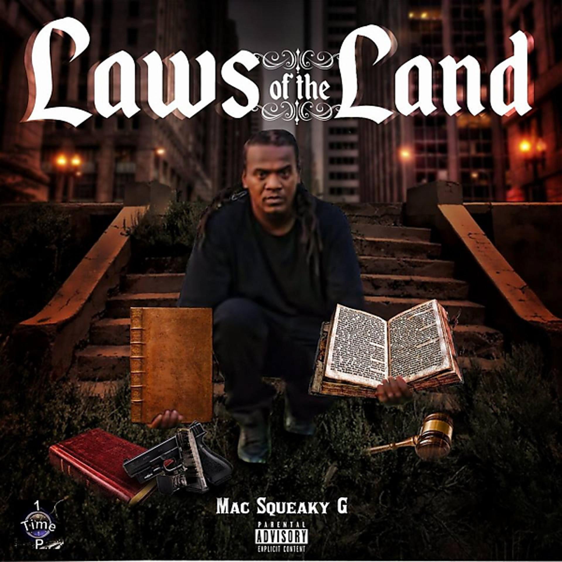 Постер альбома Laws Of The Land