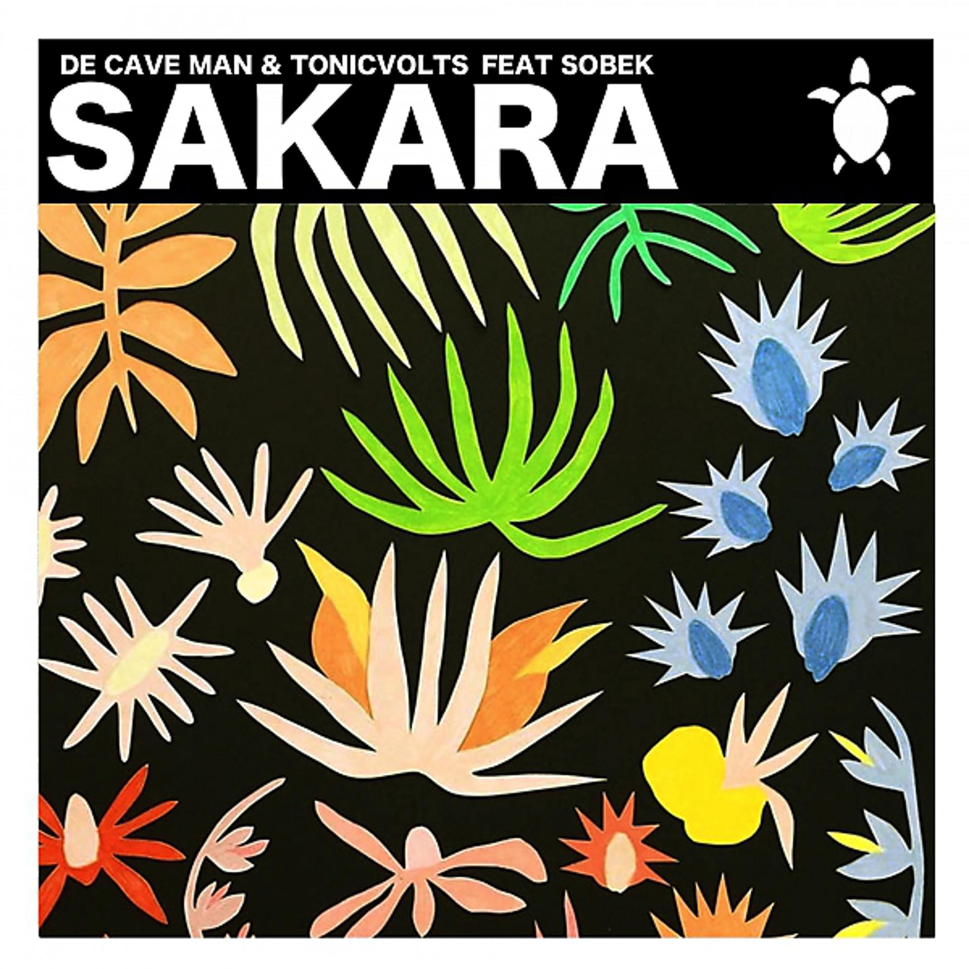 Постер альбома Sakara (feat. Sobek)