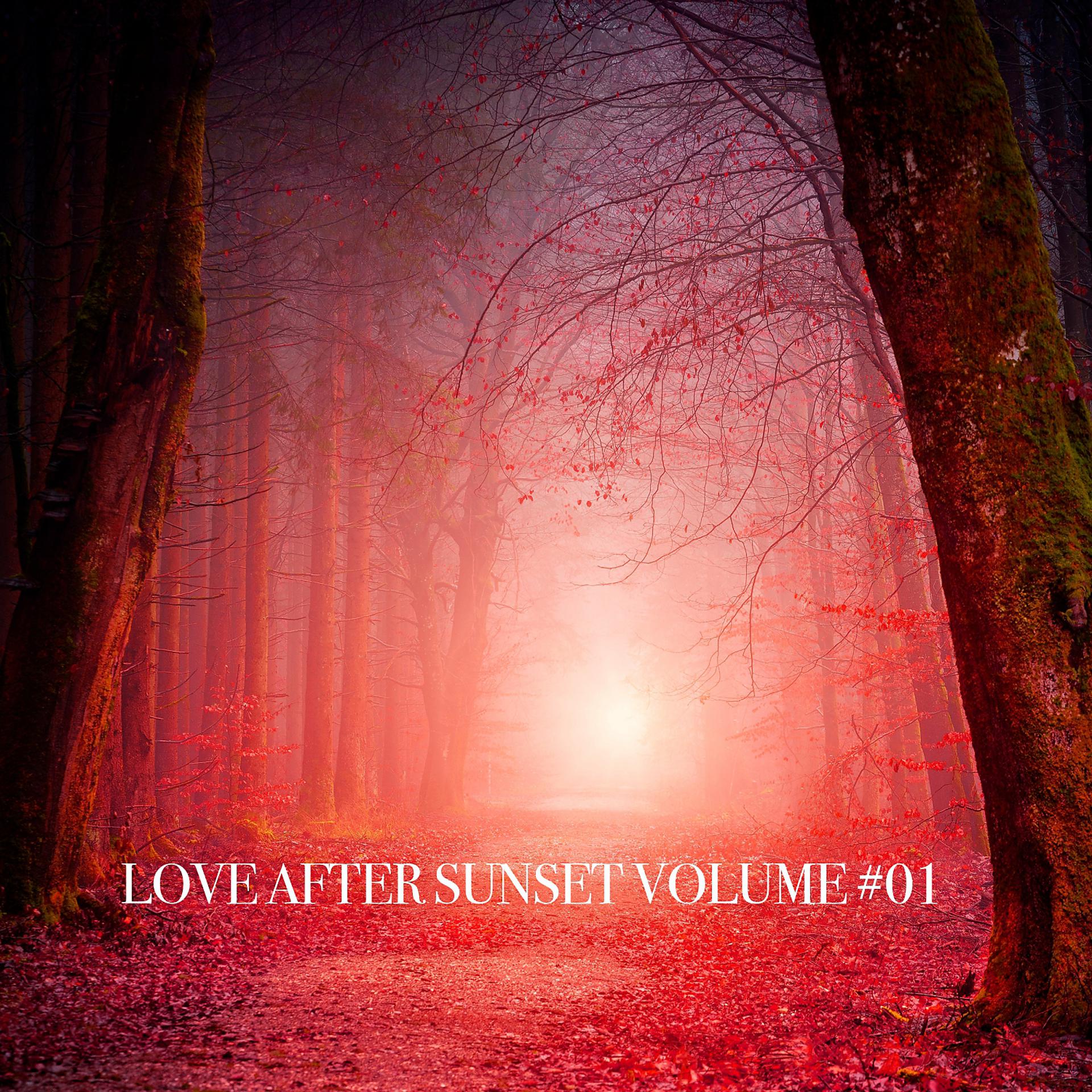 Постер альбома Love After Sunset Volume #01