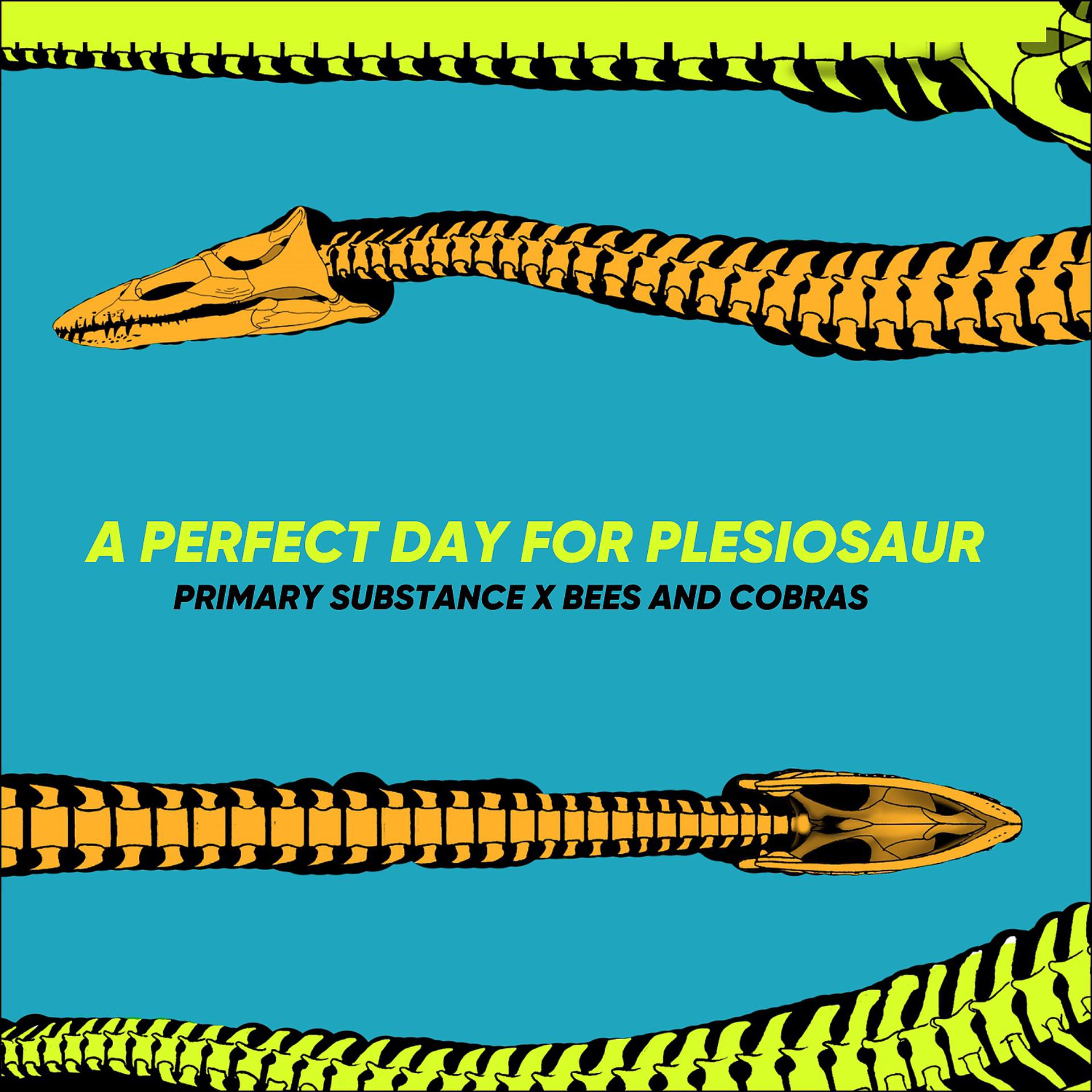 Постер альбома A Perfect Day for Plesiosaur