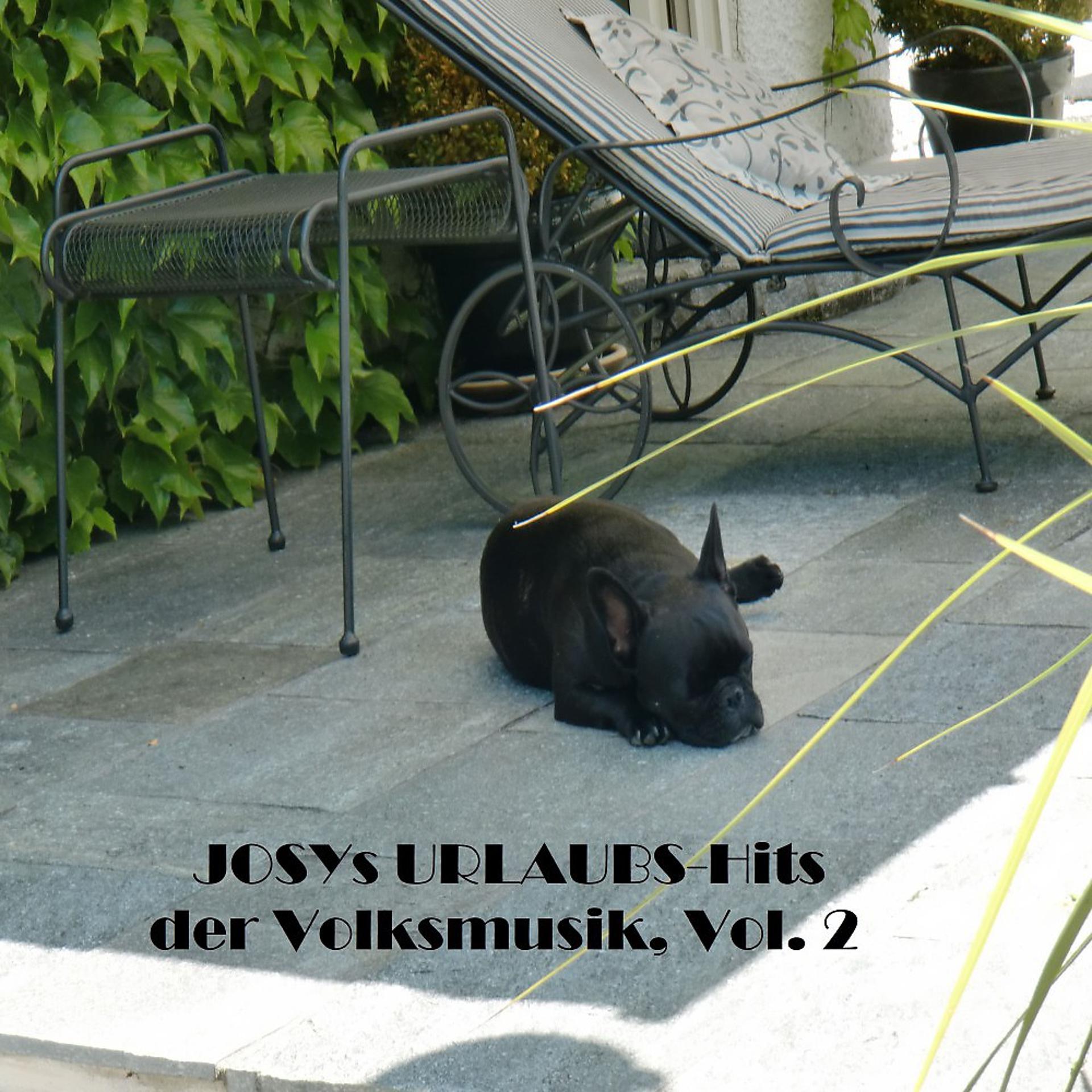 Постер альбома Josys URLAUB-Hits der Volksmusik, Vol. 2