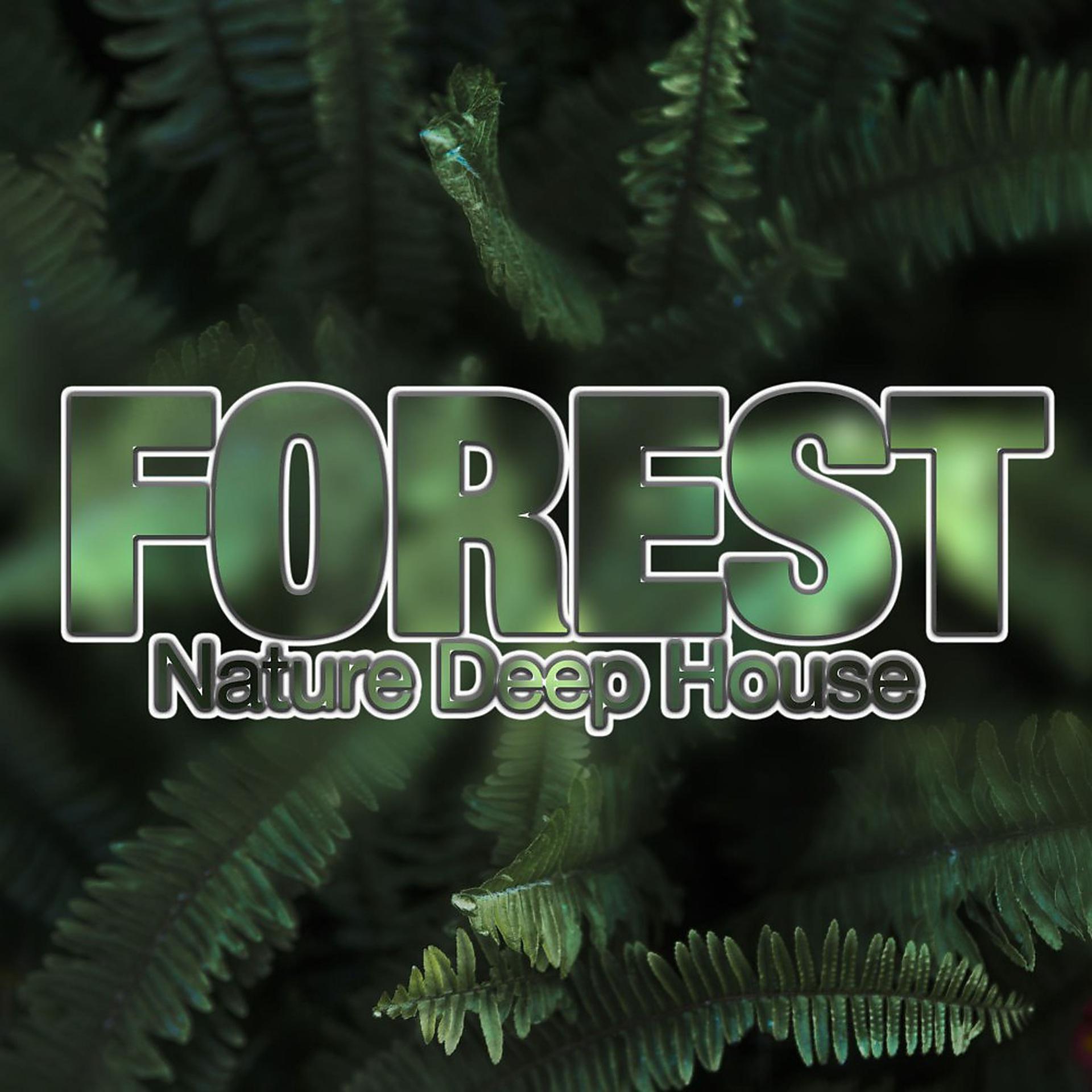 Постер альбома Forest, Nature Deep House