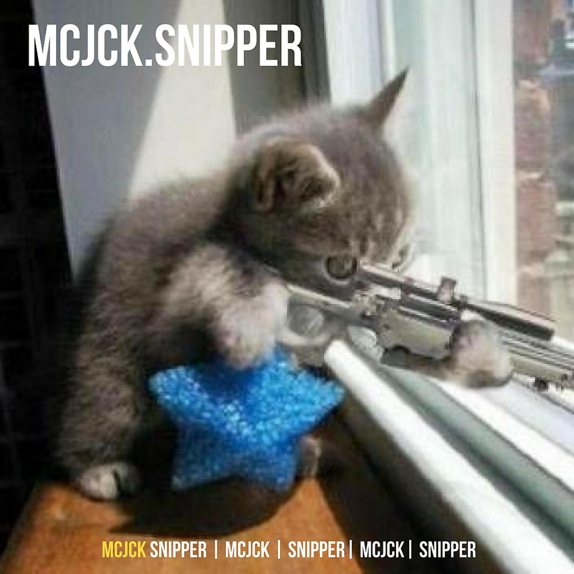 Постер альбома Snipper