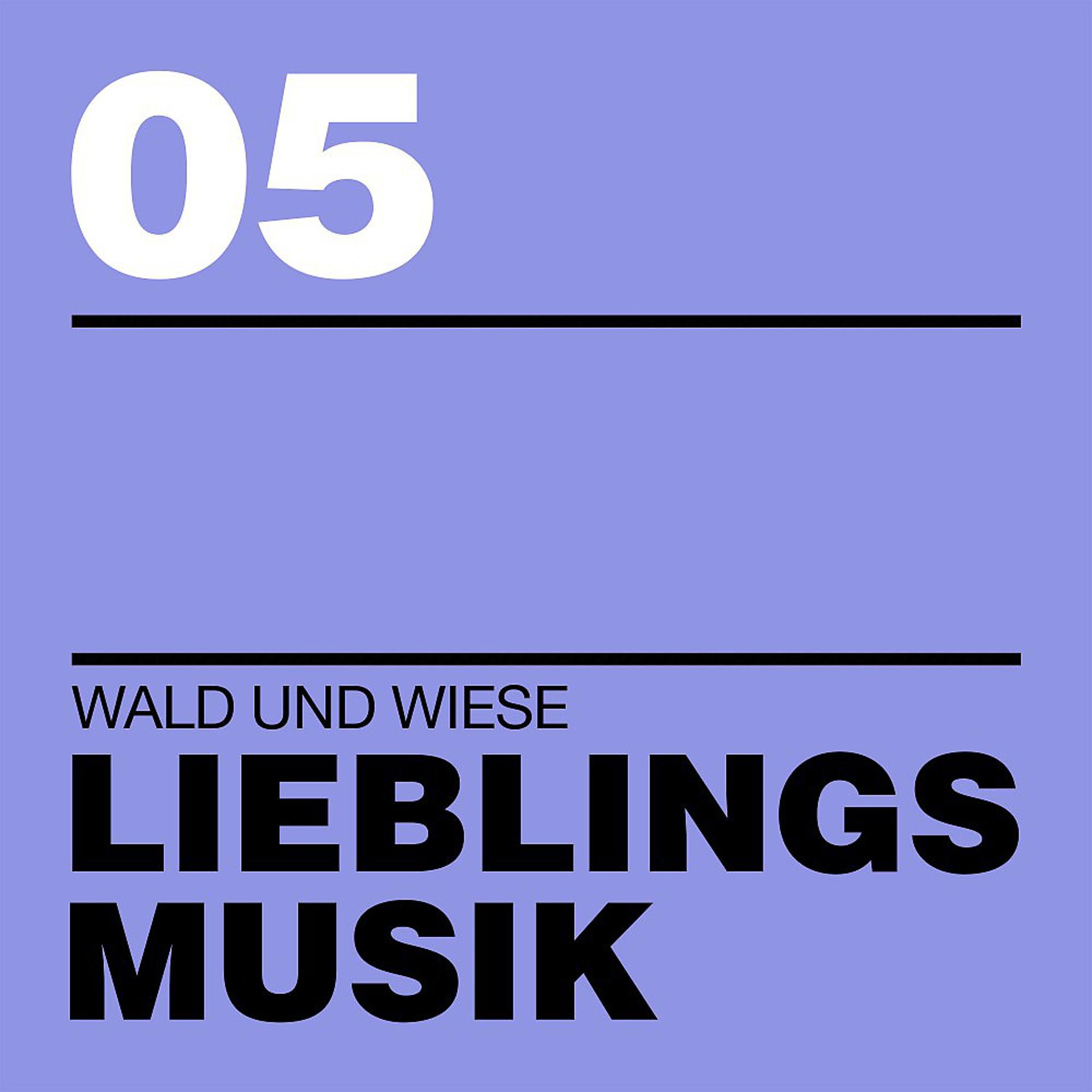Постер альбома Lieblingsmusik 05