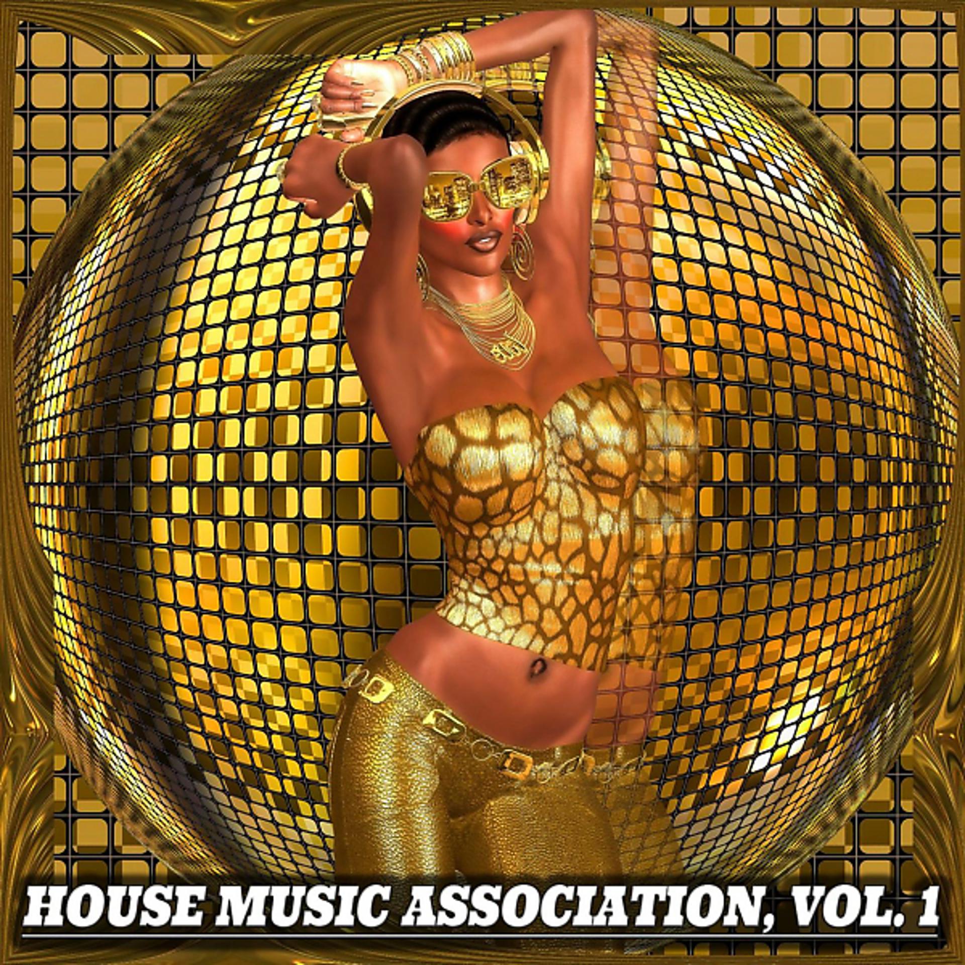 Постер альбома House Music Association, Vol.1
