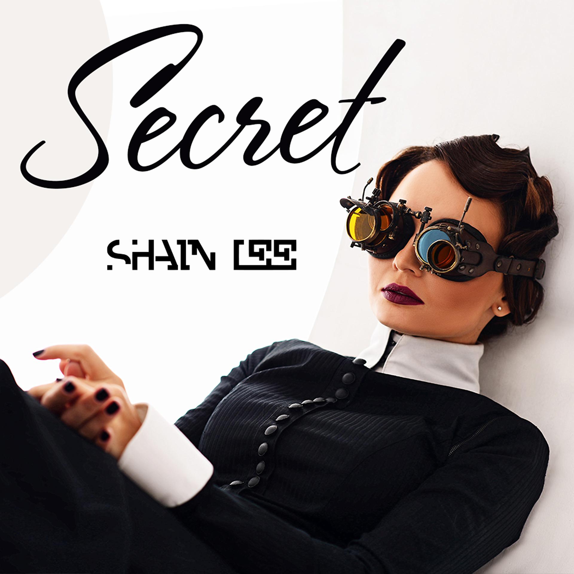 Постер альбома Secret