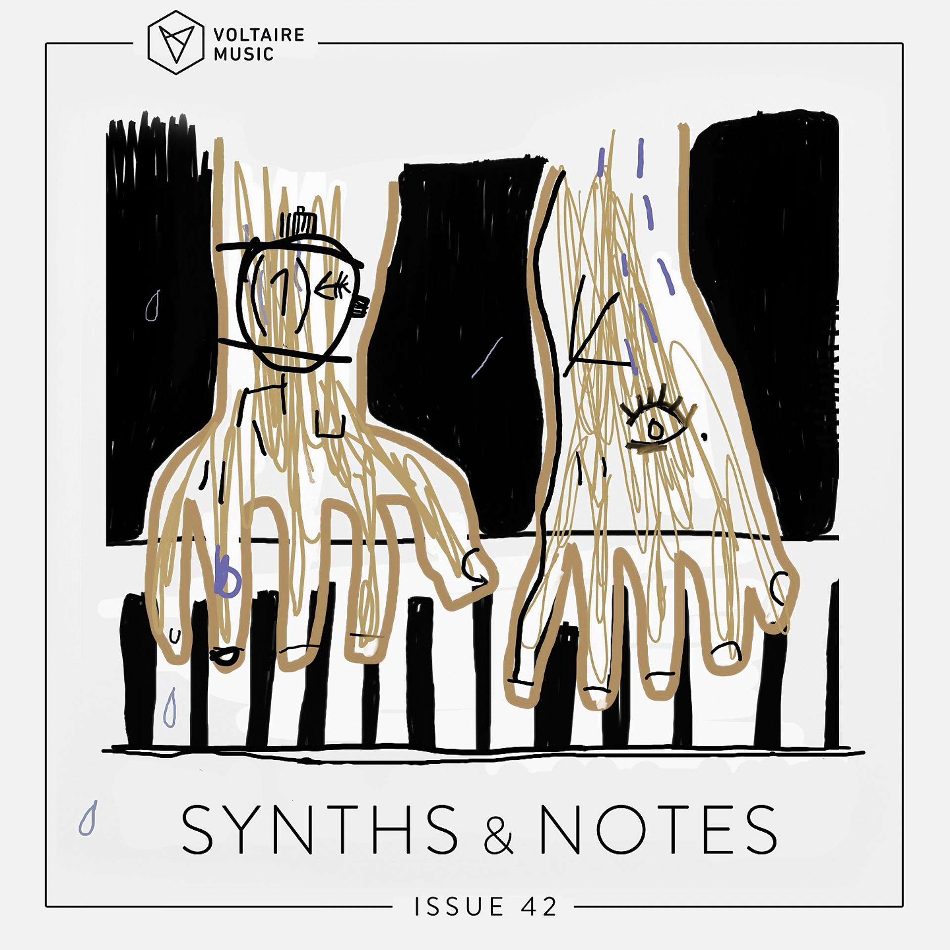Постер альбома Synths And Notes 42