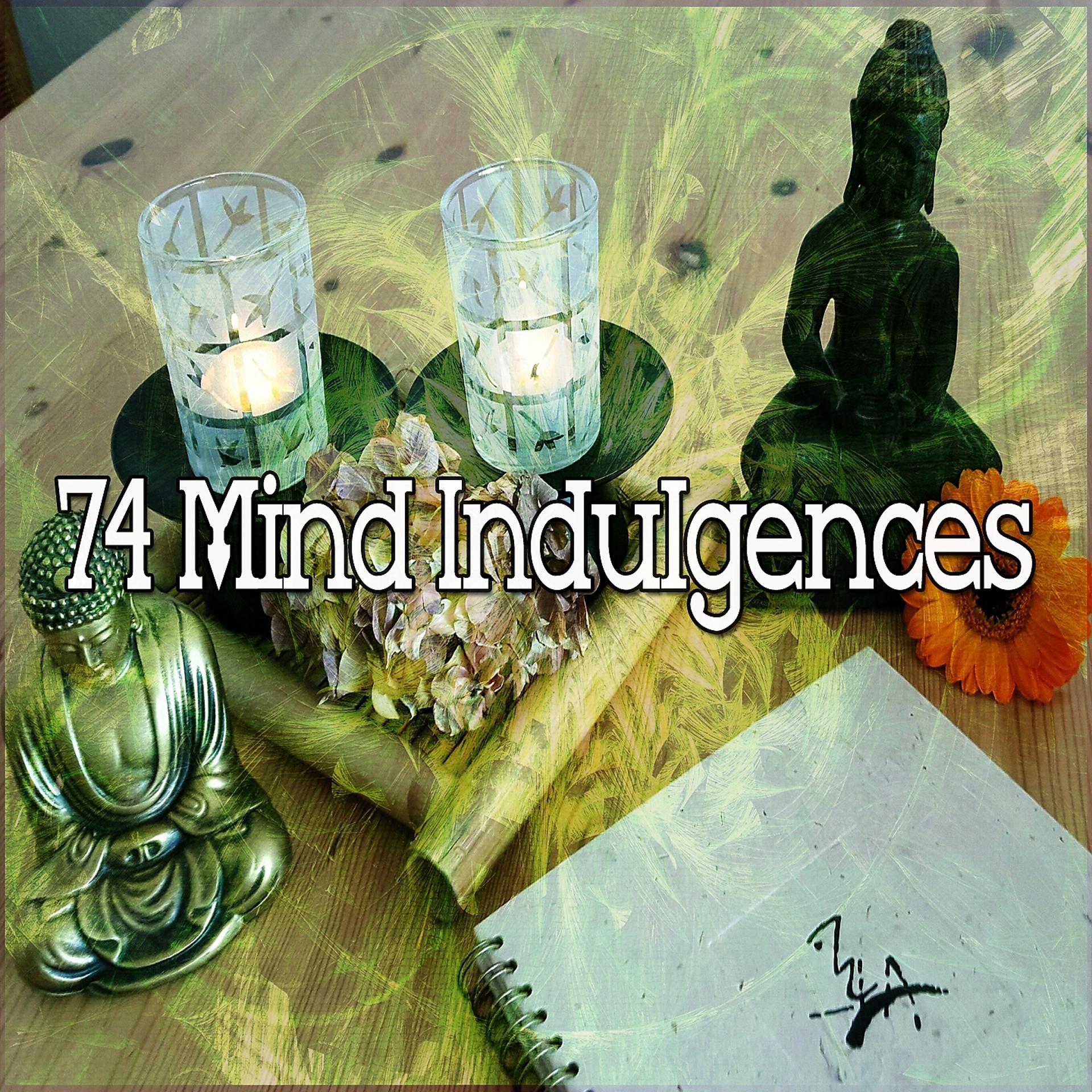 Постер альбома 74 Mind Indulgences