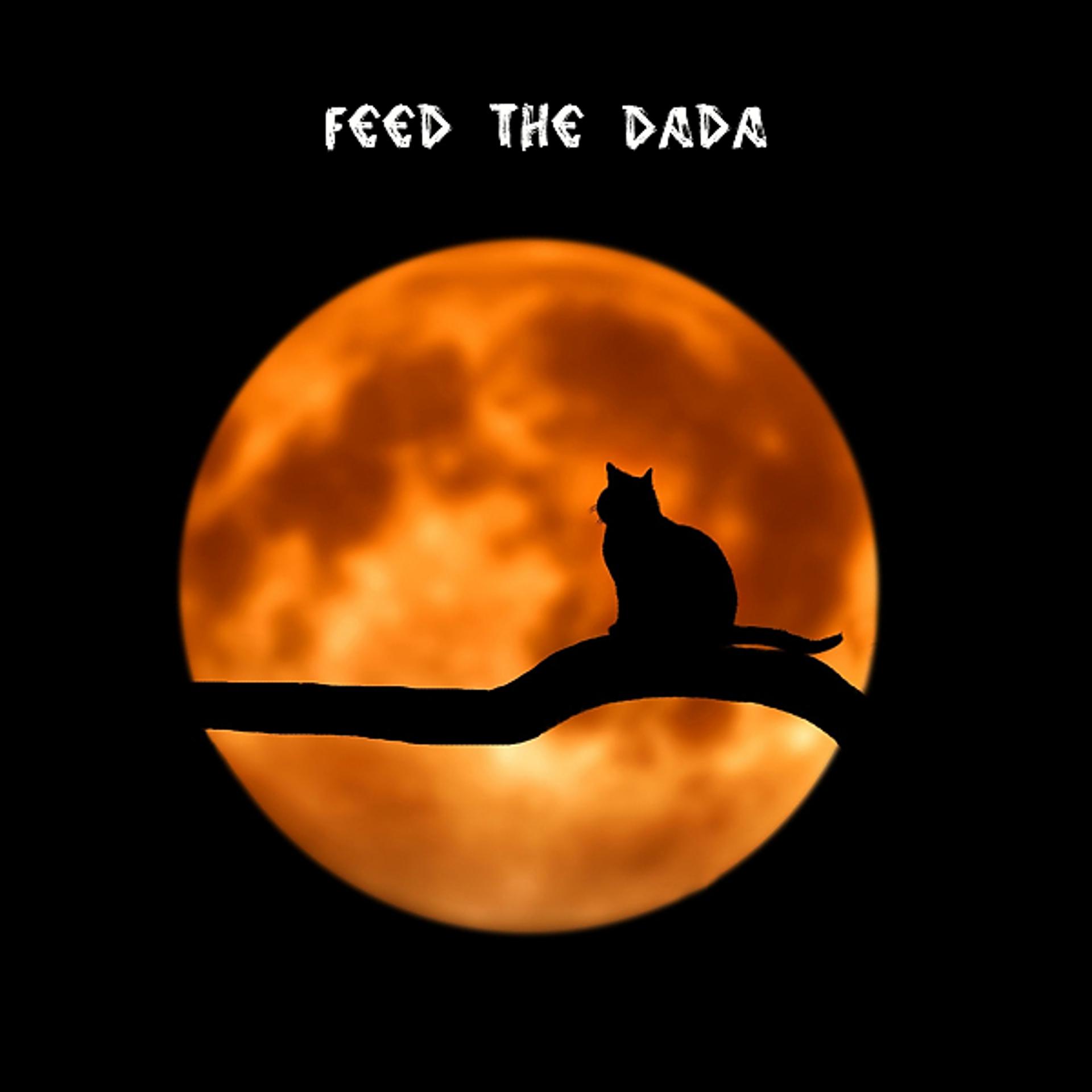 Постер альбома Feed The Dada