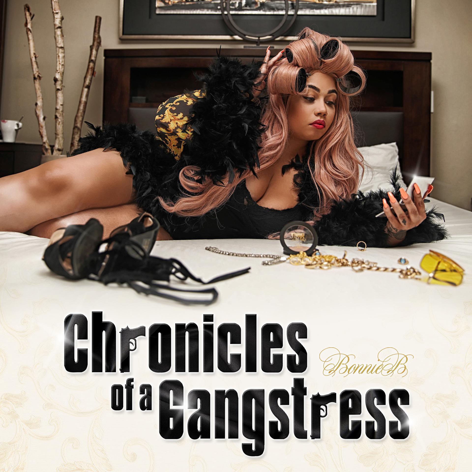Постер альбома Chronicles Of A Gangstress