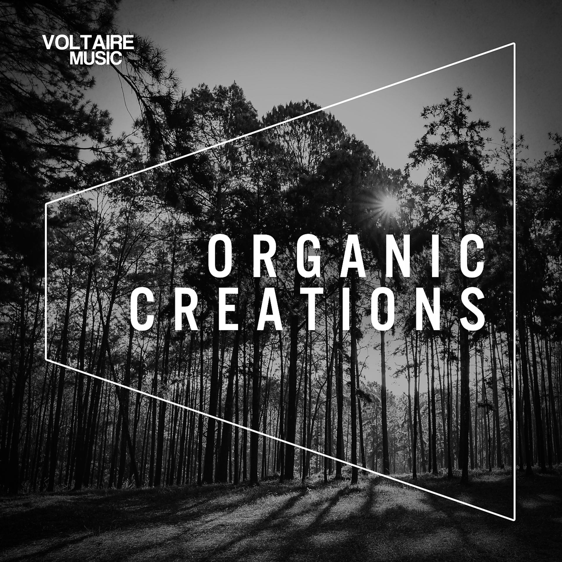 Постер альбома Organic Creations Issue 1