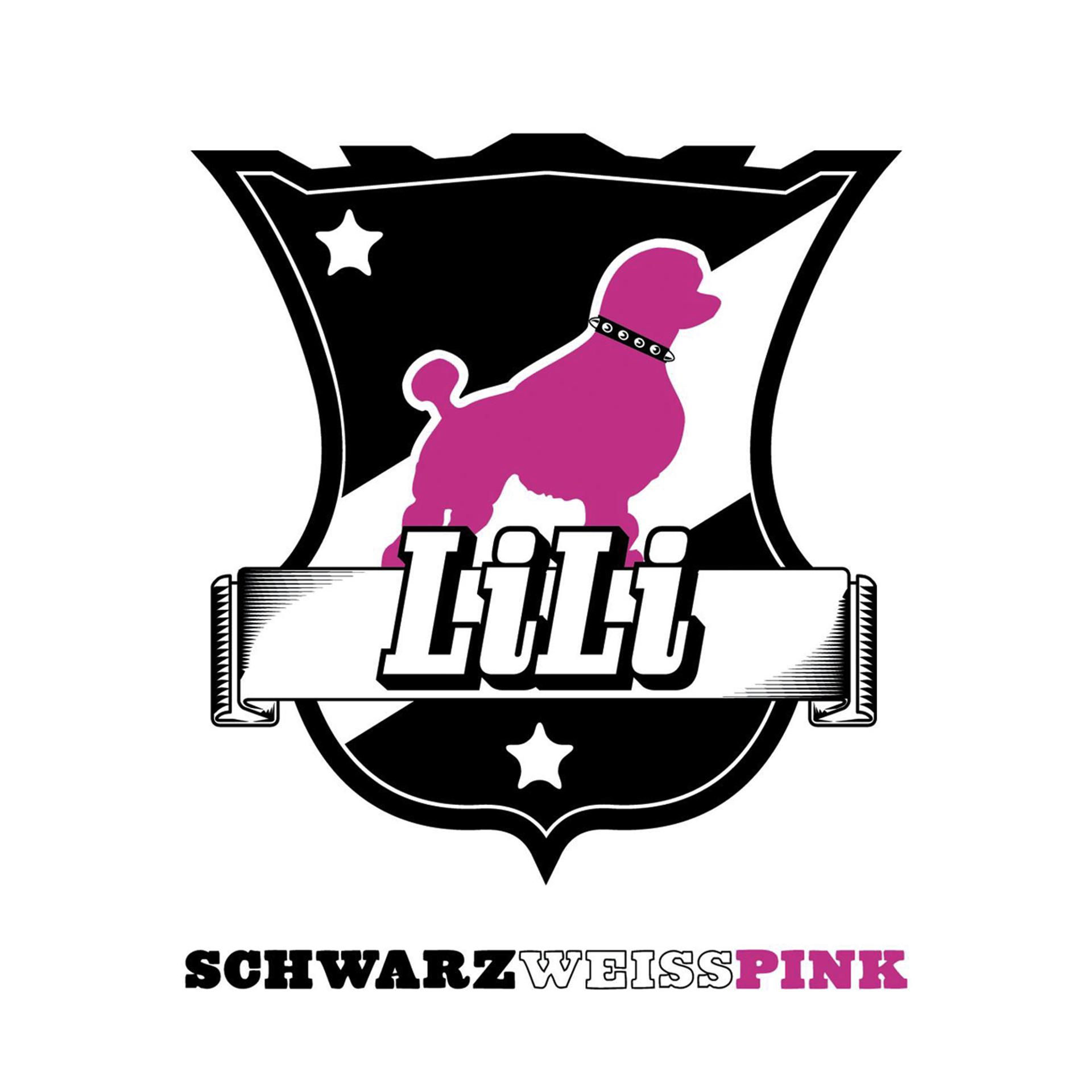 Постер альбома SchwarzWeissPink