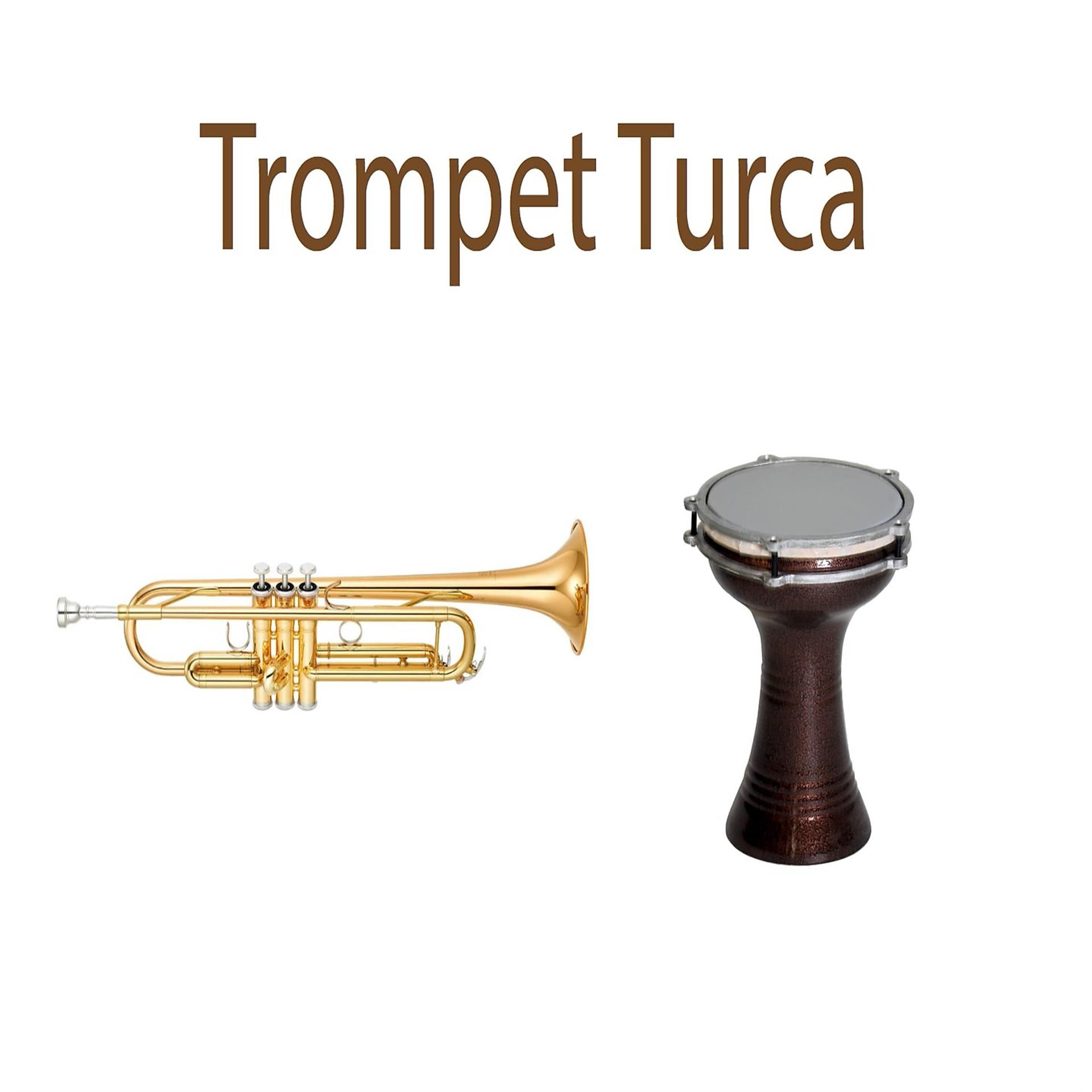 Постер альбома Trompet Turca
