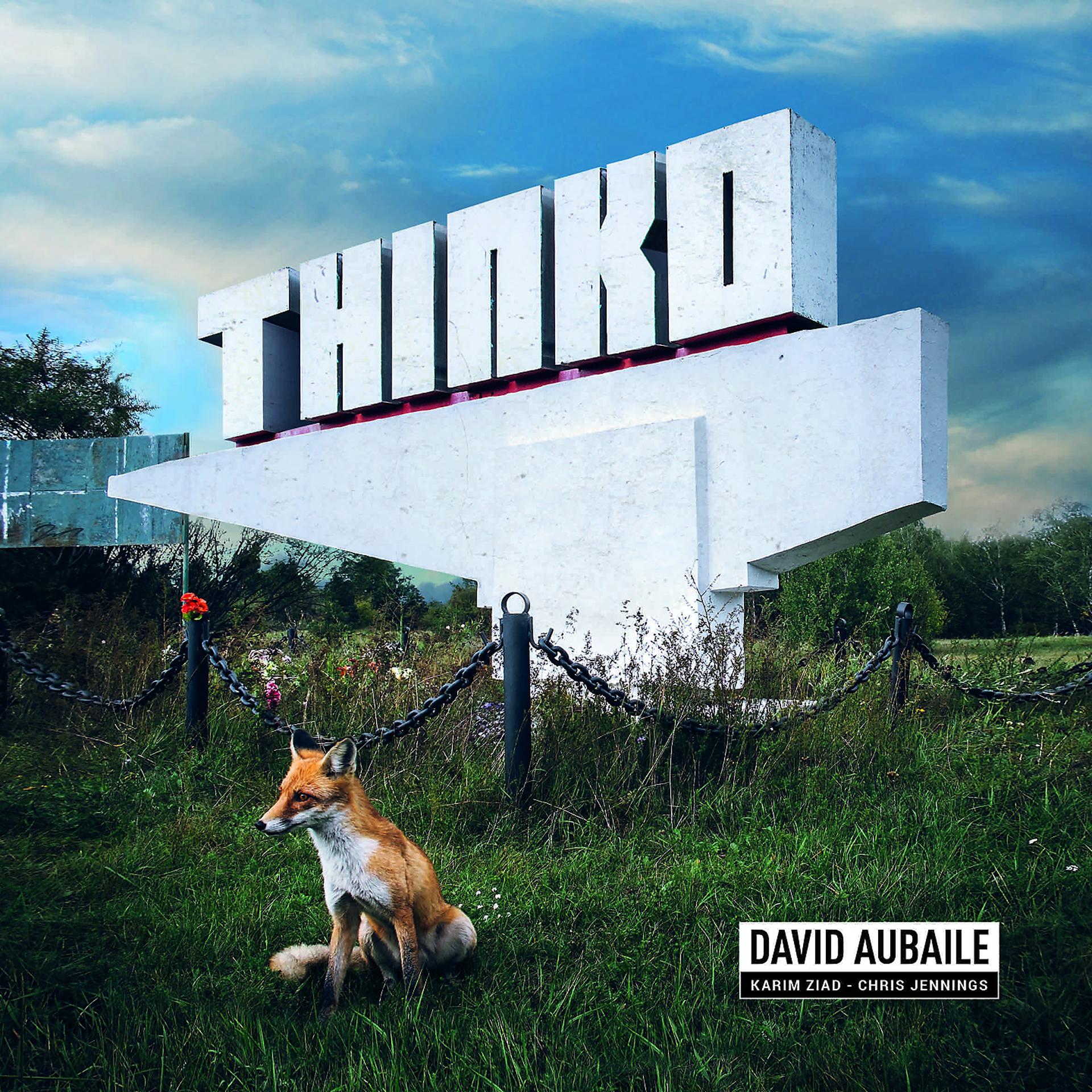 Постер альбома Thinko