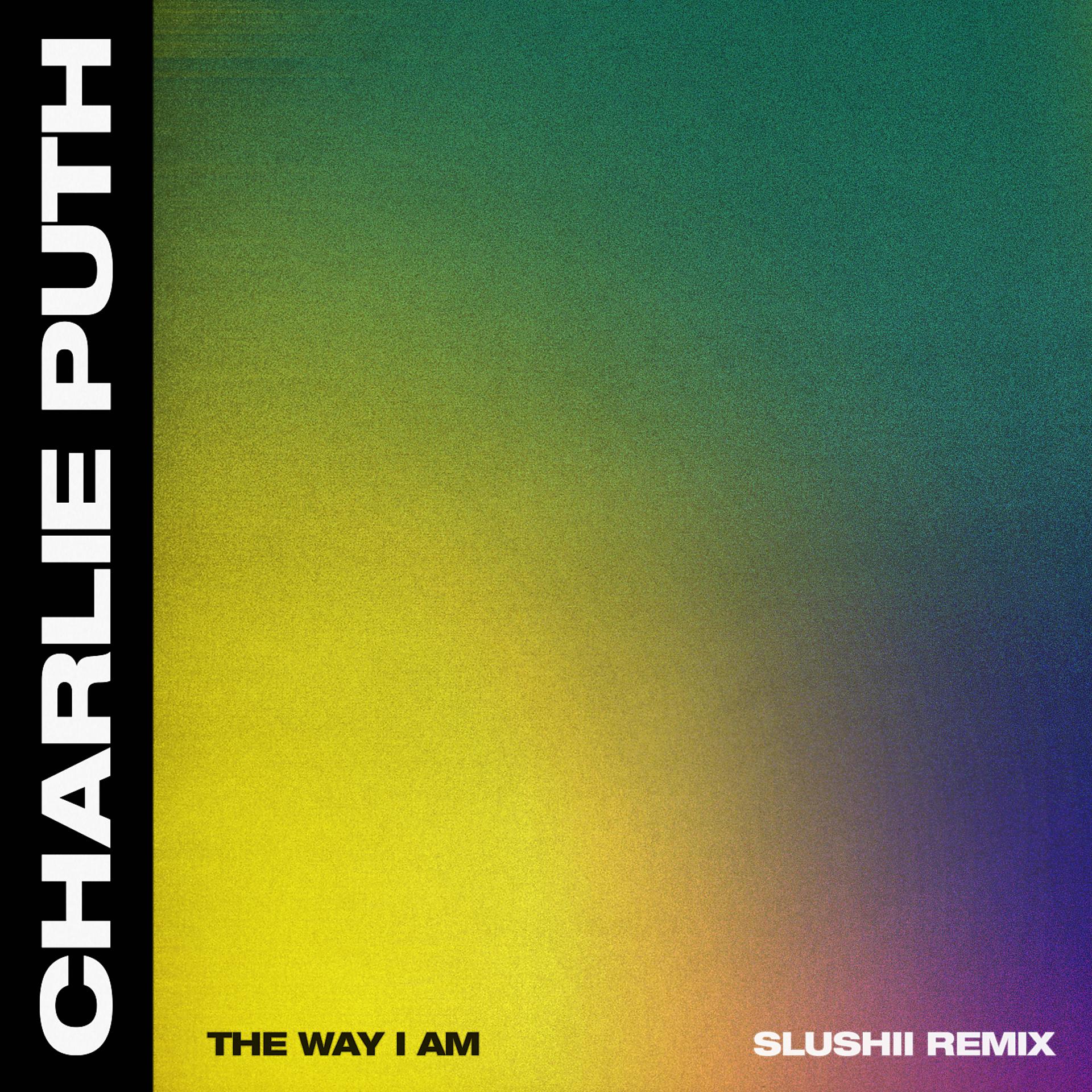Постер альбома The Way I Am (Slushii Remix)