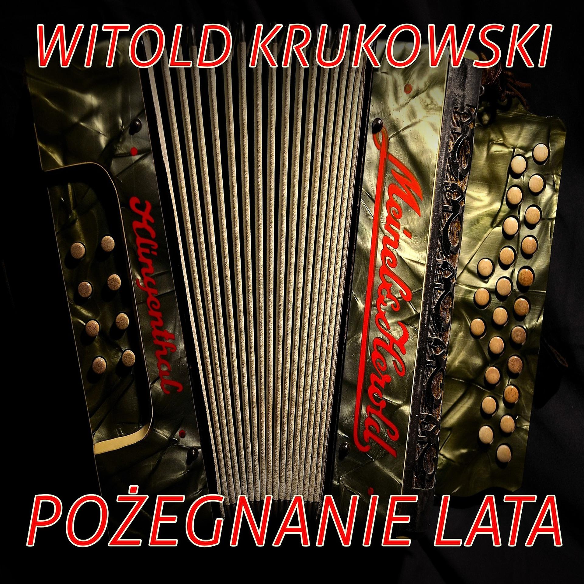 Постер альбома Pozegnanie Lata