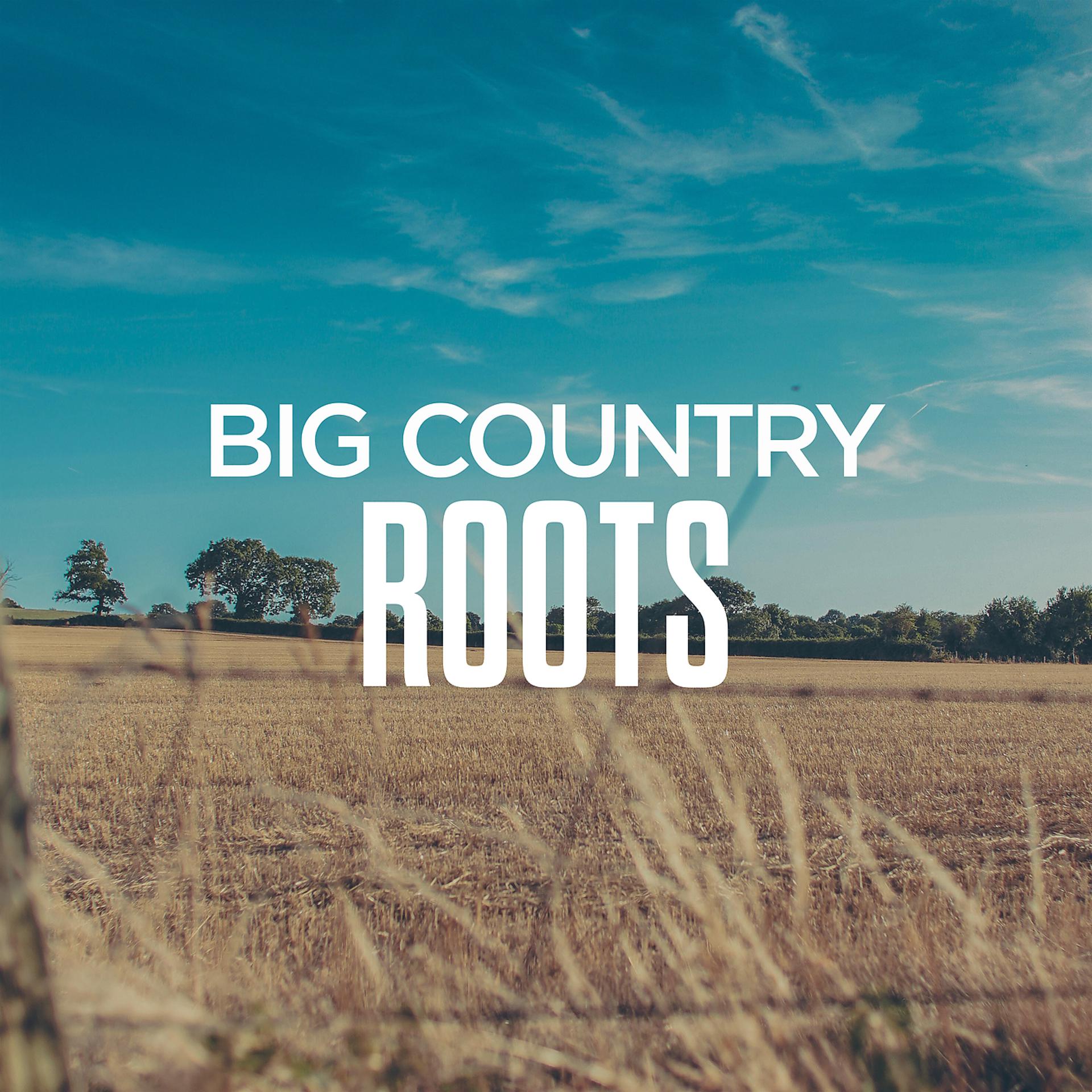 Постер альбома Big Country Roots