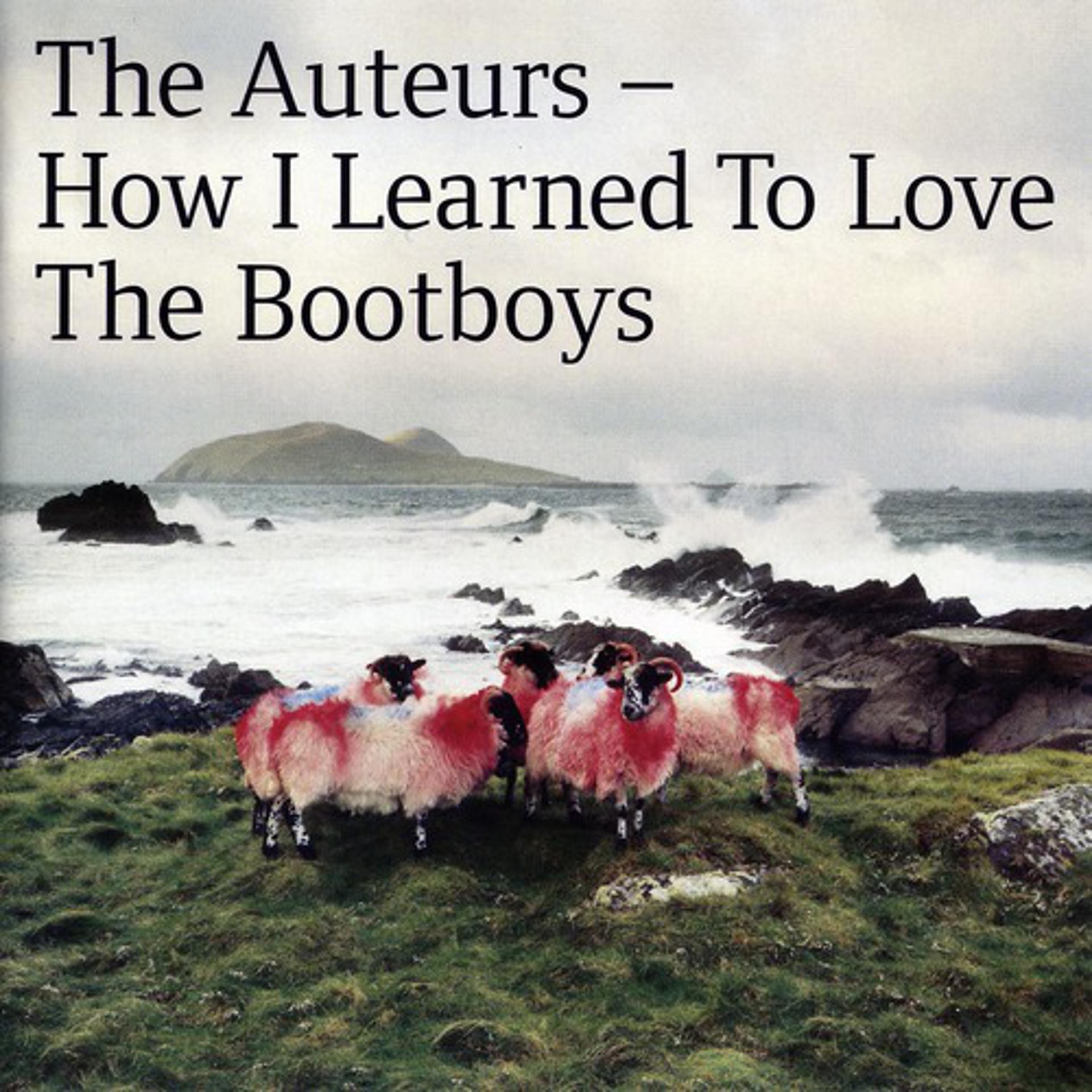 Постер альбома How I Learned To Love The Bootboys