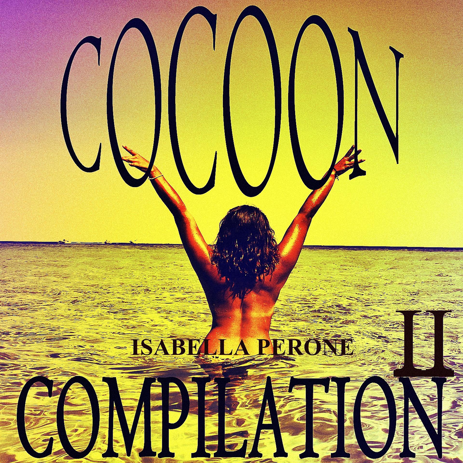 Постер альбома Cocoon Compilation II
