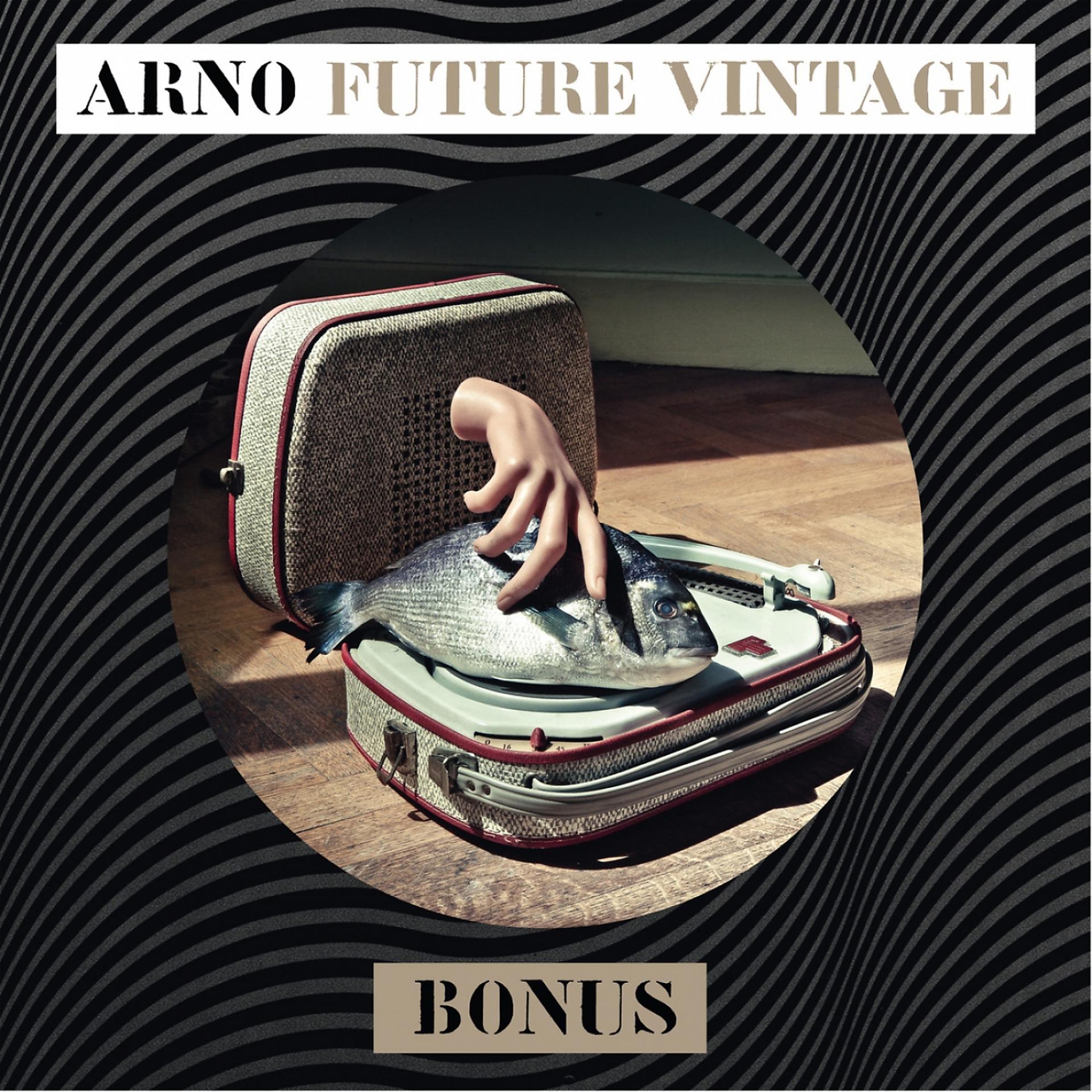 Постер альбома Future Vintage Bonus