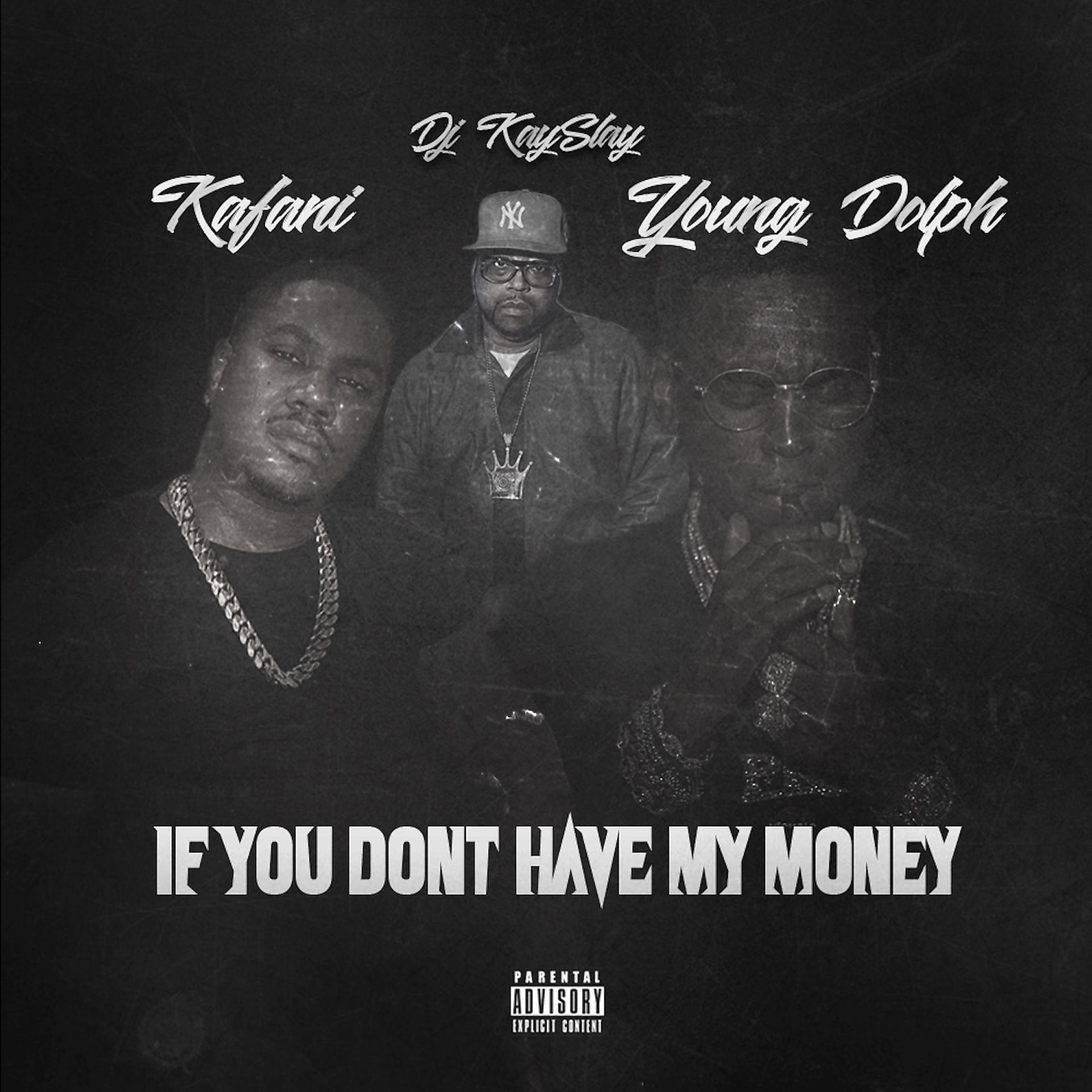 Постер альбома If You Don't Have My Money (feat. DJ Kay Slay & Young Dolph)