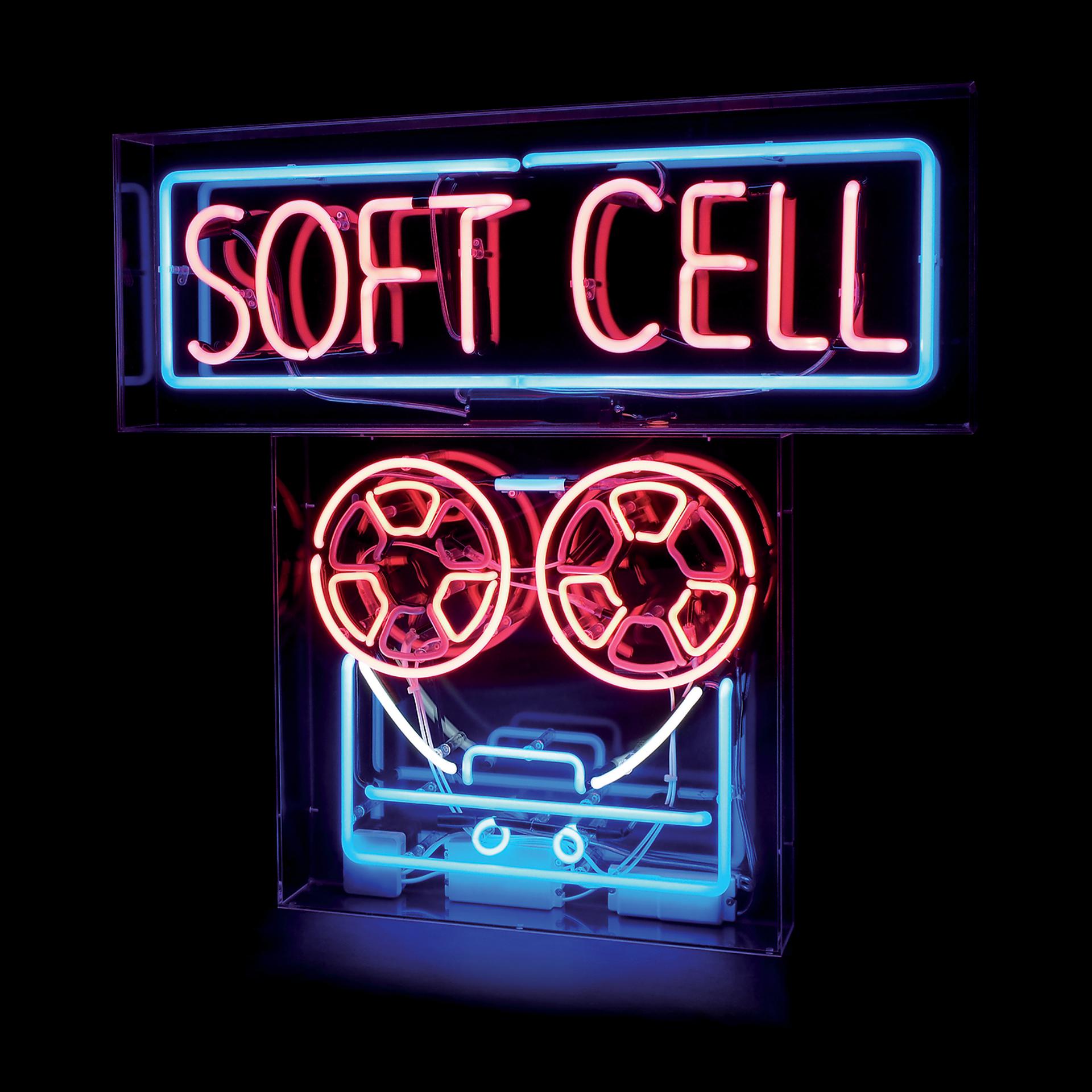 Постер к треку Soft Cell - Divided Soul