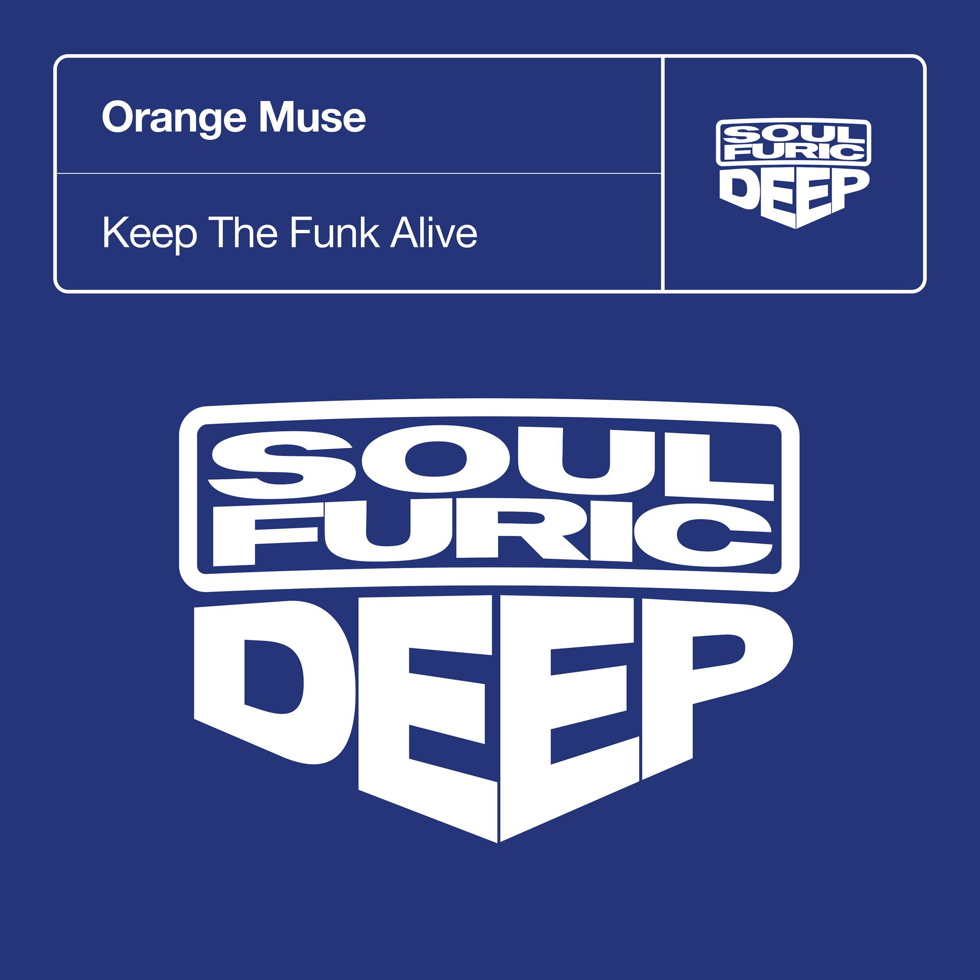 Постер альбома Keep The Funk Alive