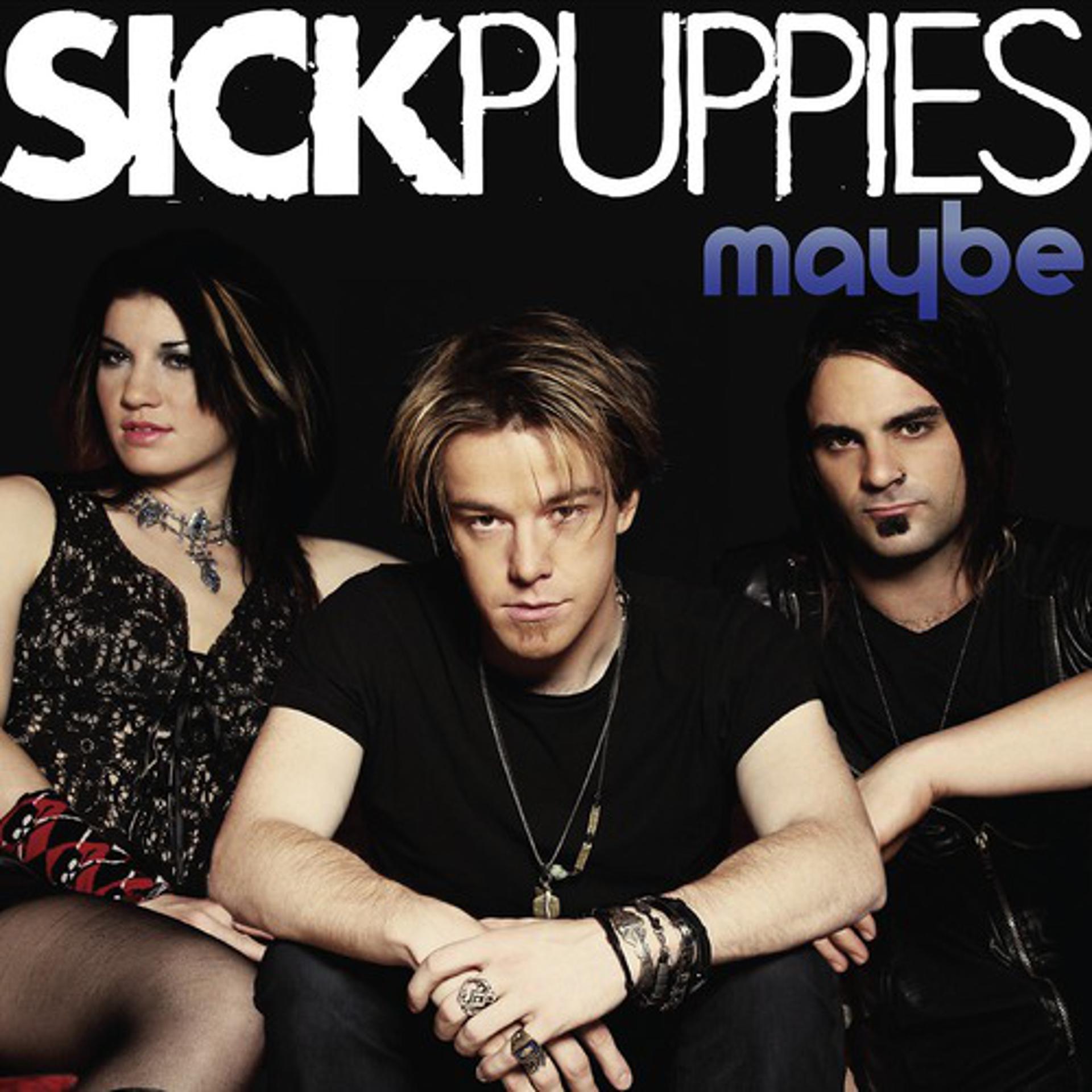 Постер к треку Sick Puppies - Maybe