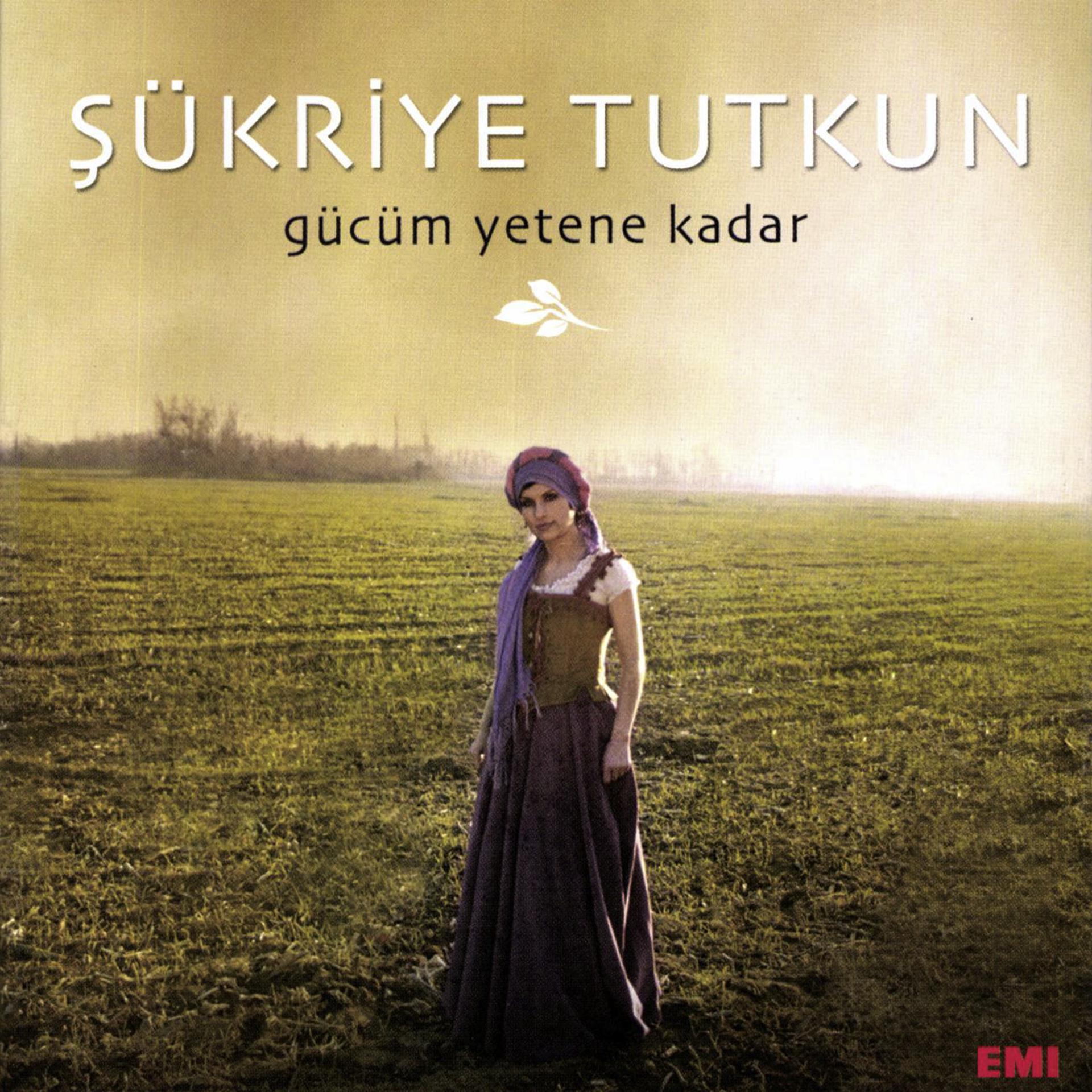 Постер альбома Gucum Yetene Kadar