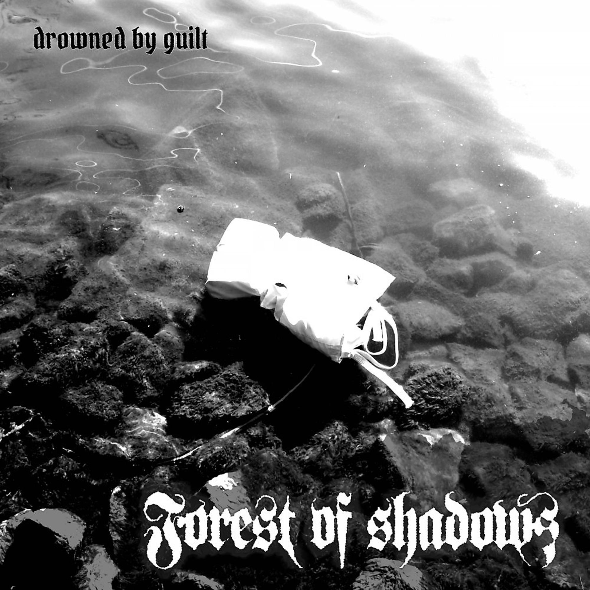 Постер альбома Drowned by Guilt