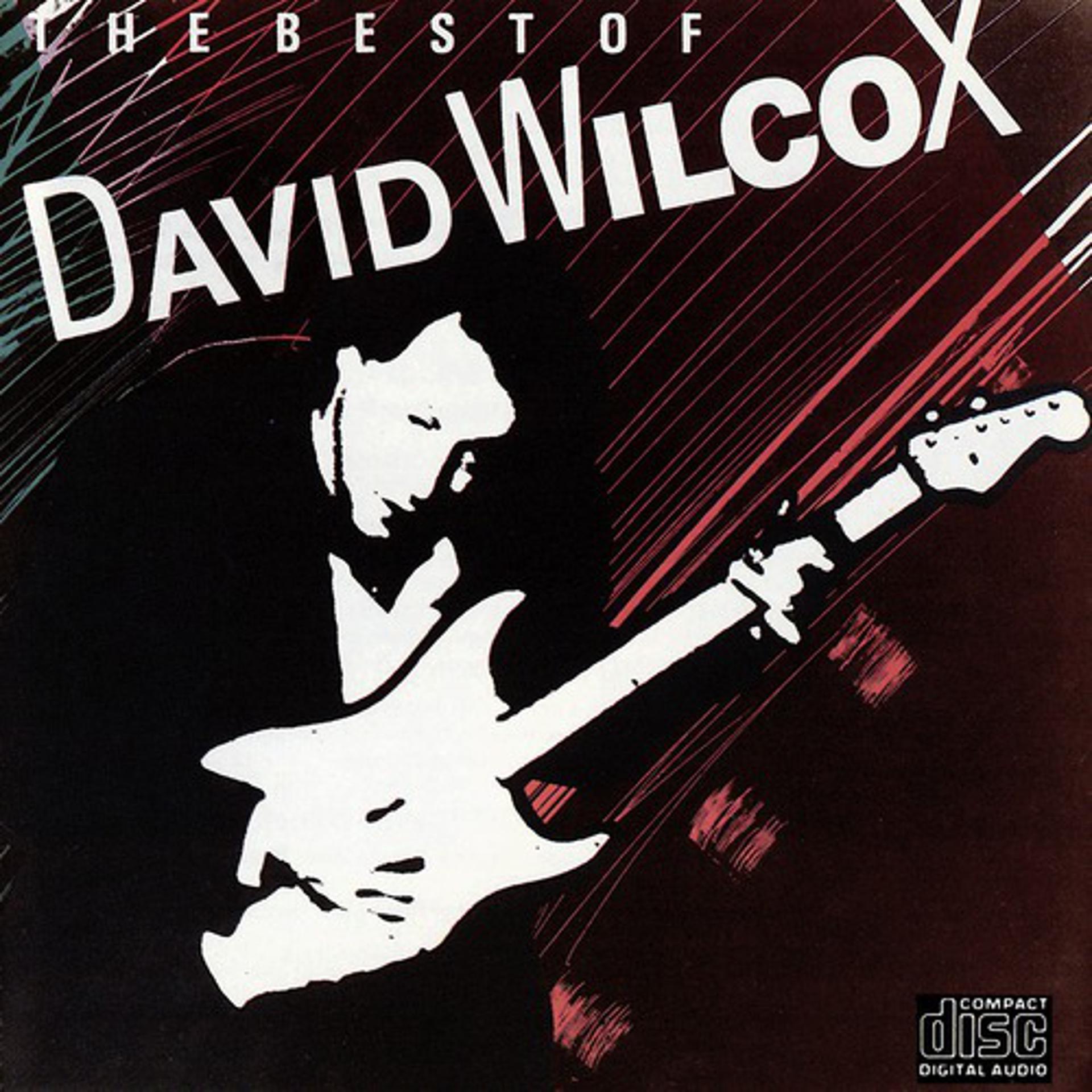 Постер альбома The Best Of David Wilcox