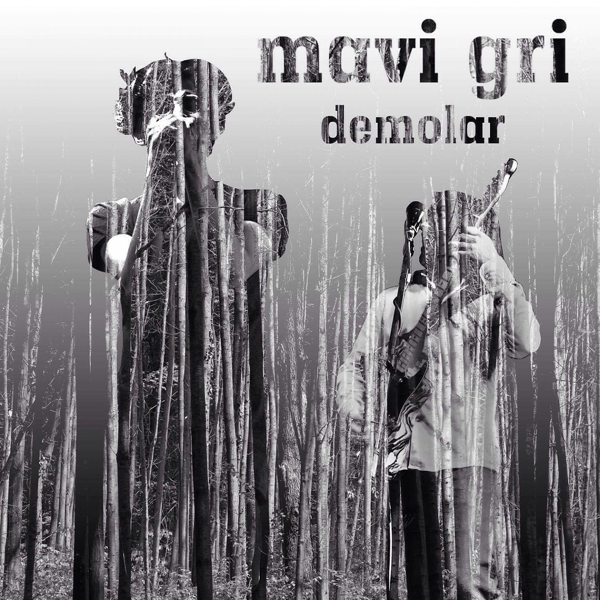 Постер альбома Demolar