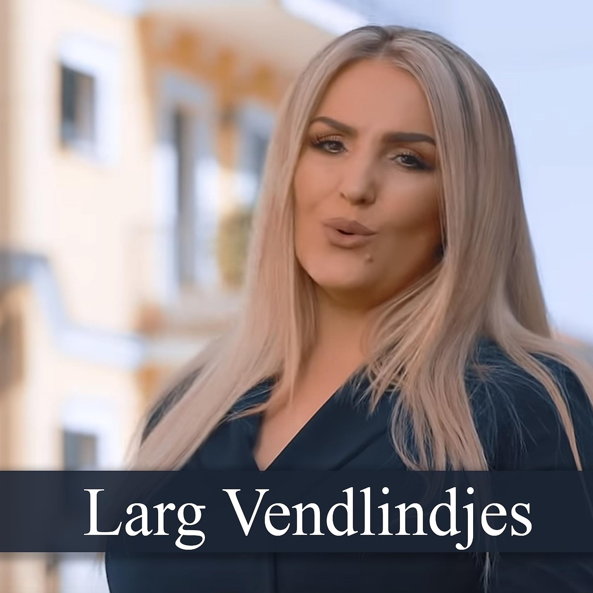 Постер альбома Larg Vendlindjes