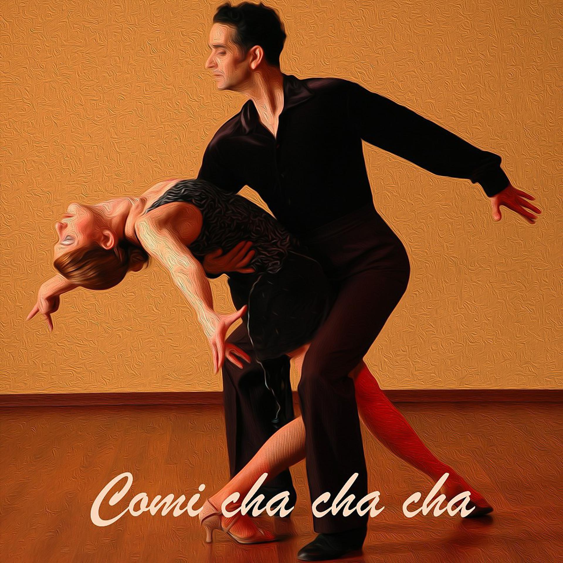 Постер альбома Salsa: Comi Cha Cha Cha