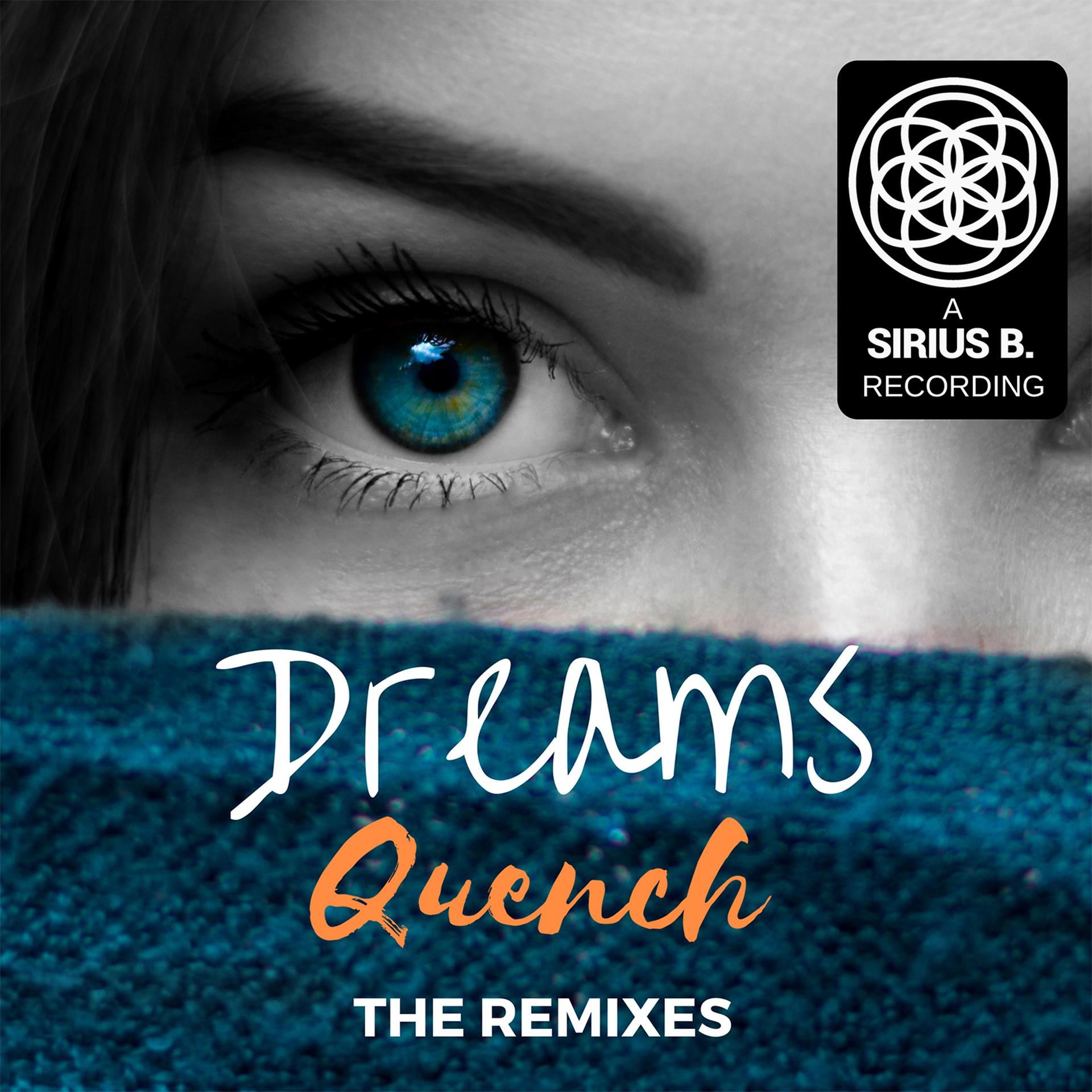 Постер альбома Dreams (The Remixes)