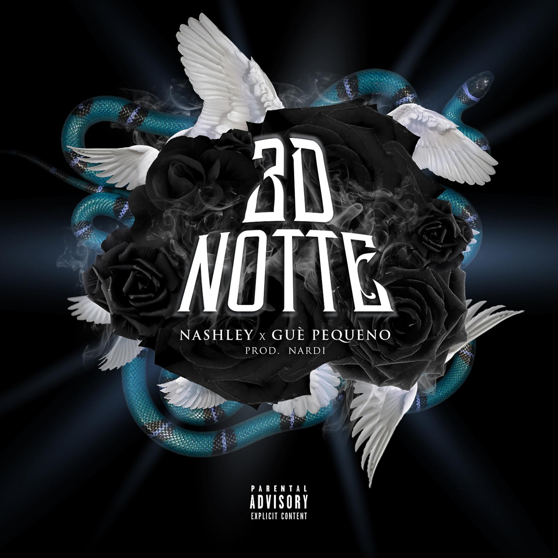 Постер альбома 3D Notte
