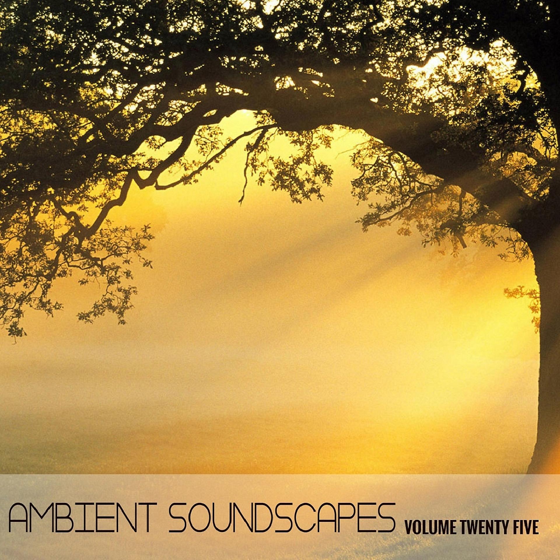 Постер альбома Ambient SoundScapes Vol 25