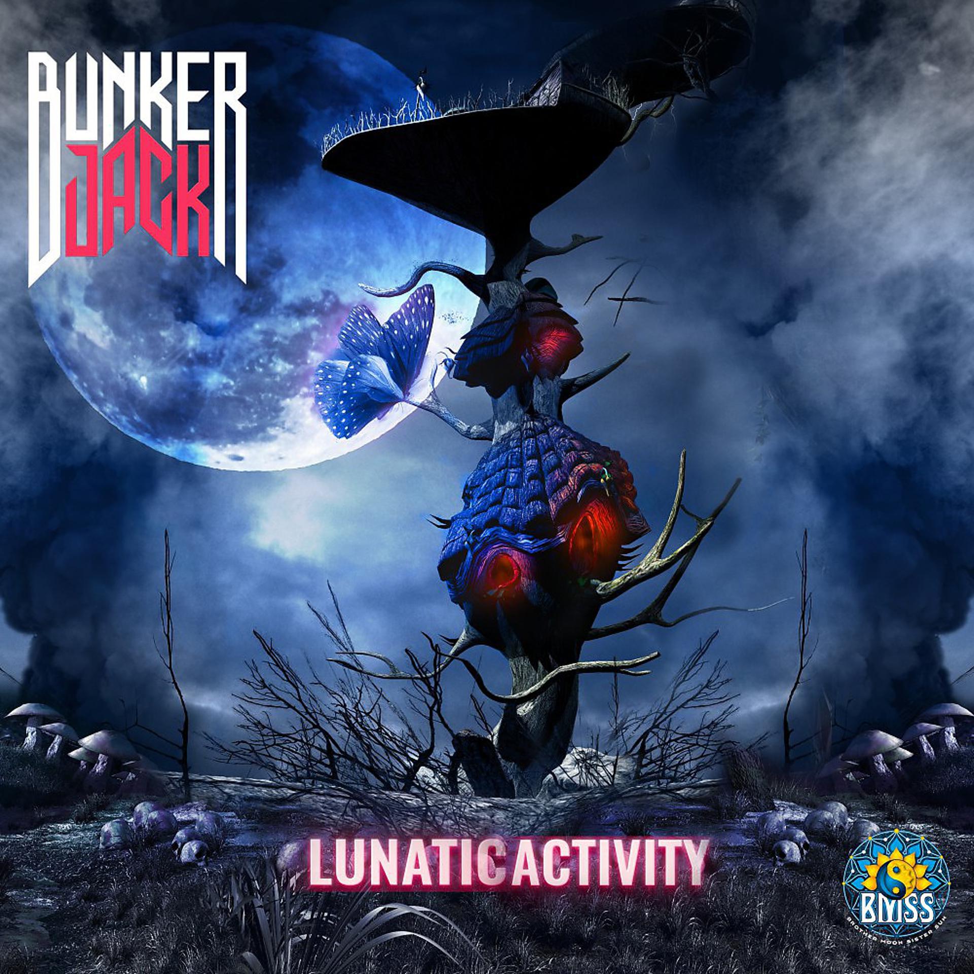 Постер альбома Lunatic Activity