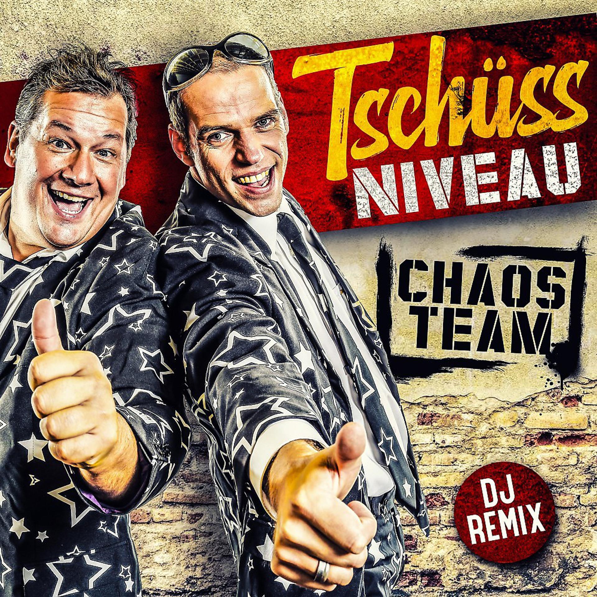 Постер альбома Tschüss Niveau (DJ Remix)