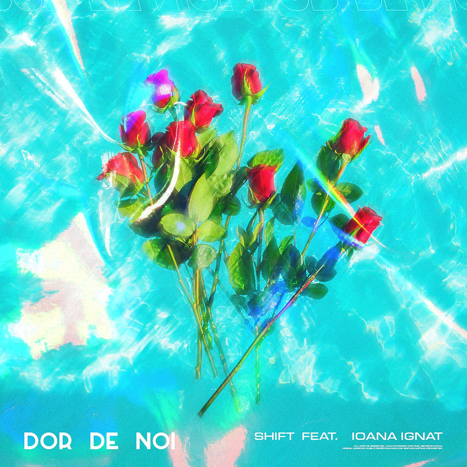 Постер альбома Dor De Noi