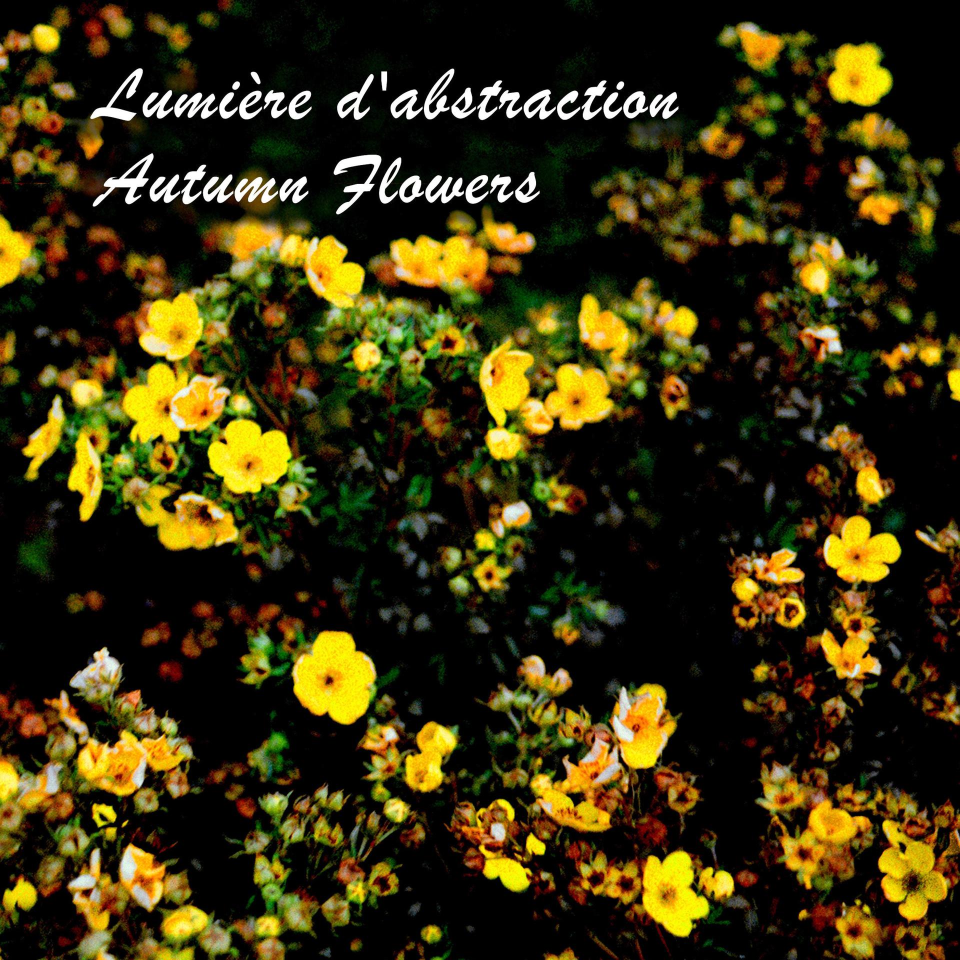 Постер альбома Autumn Flowers