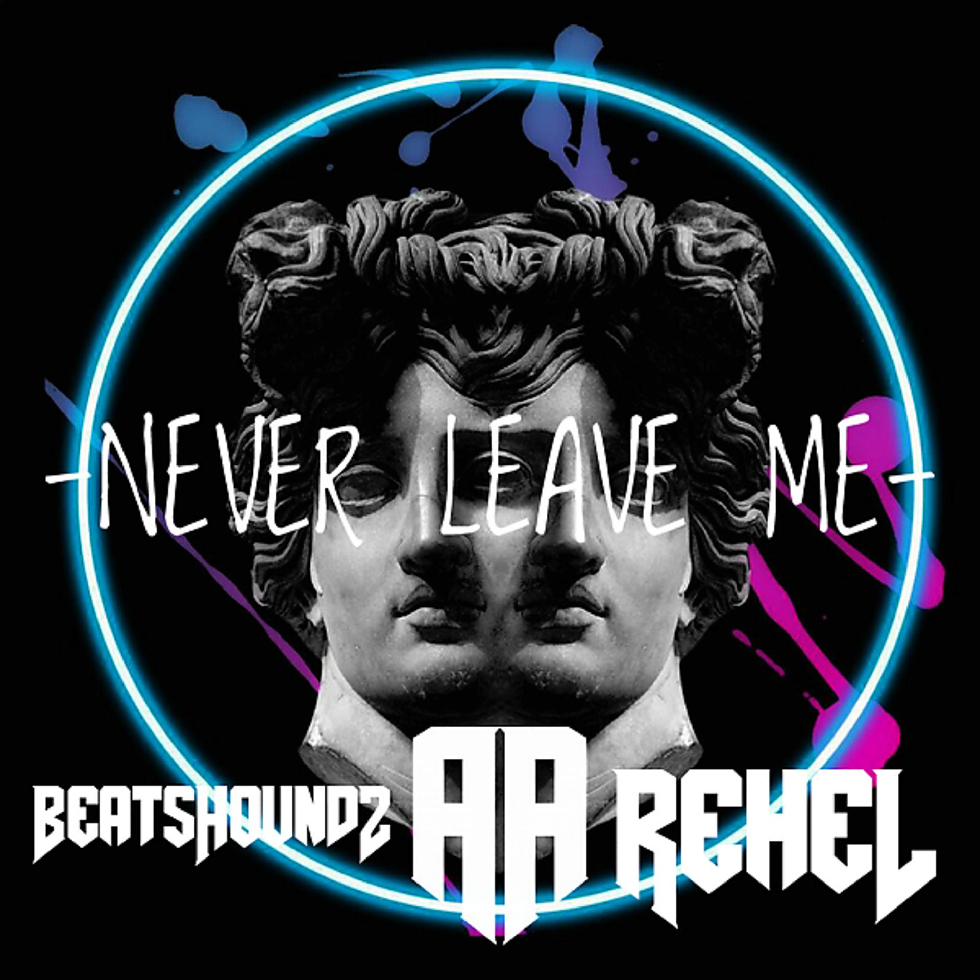 Постер альбома Never Leave Me