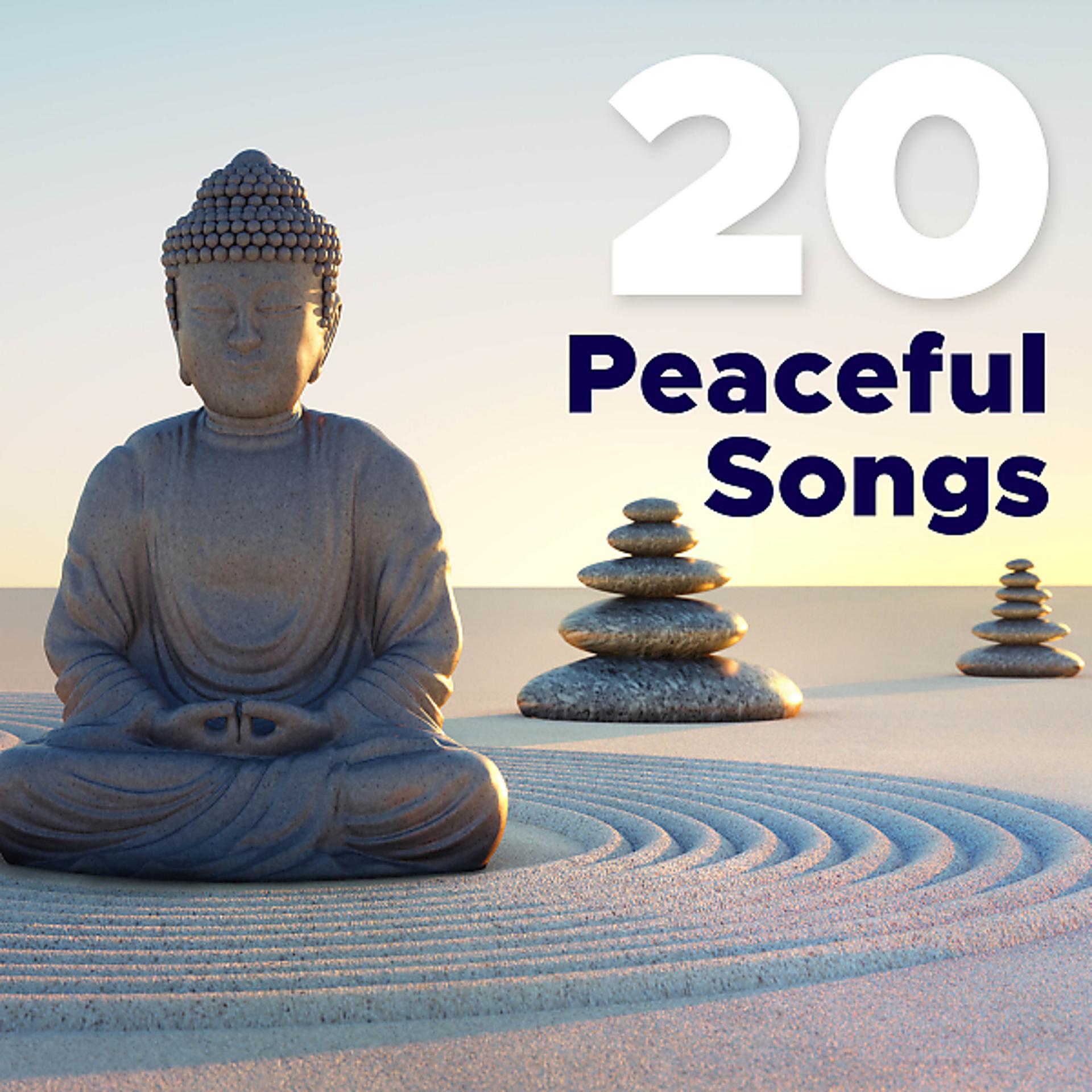 Постер альбома 20 Peaceful Songs - The Very Best in New Age Music and Nature Sounds